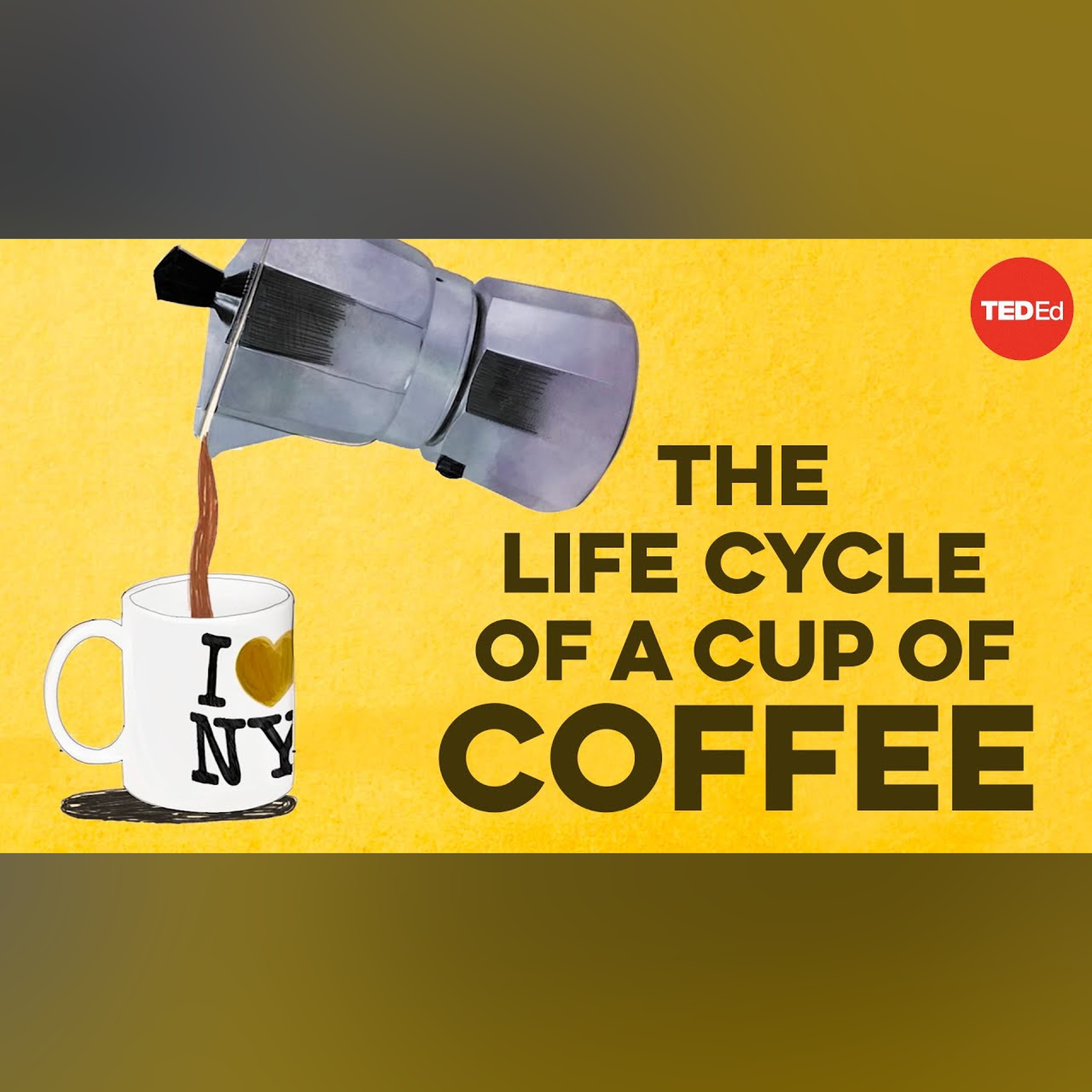 The life cycle of a cup of coffee - A.J. Jacobs episode artwork
