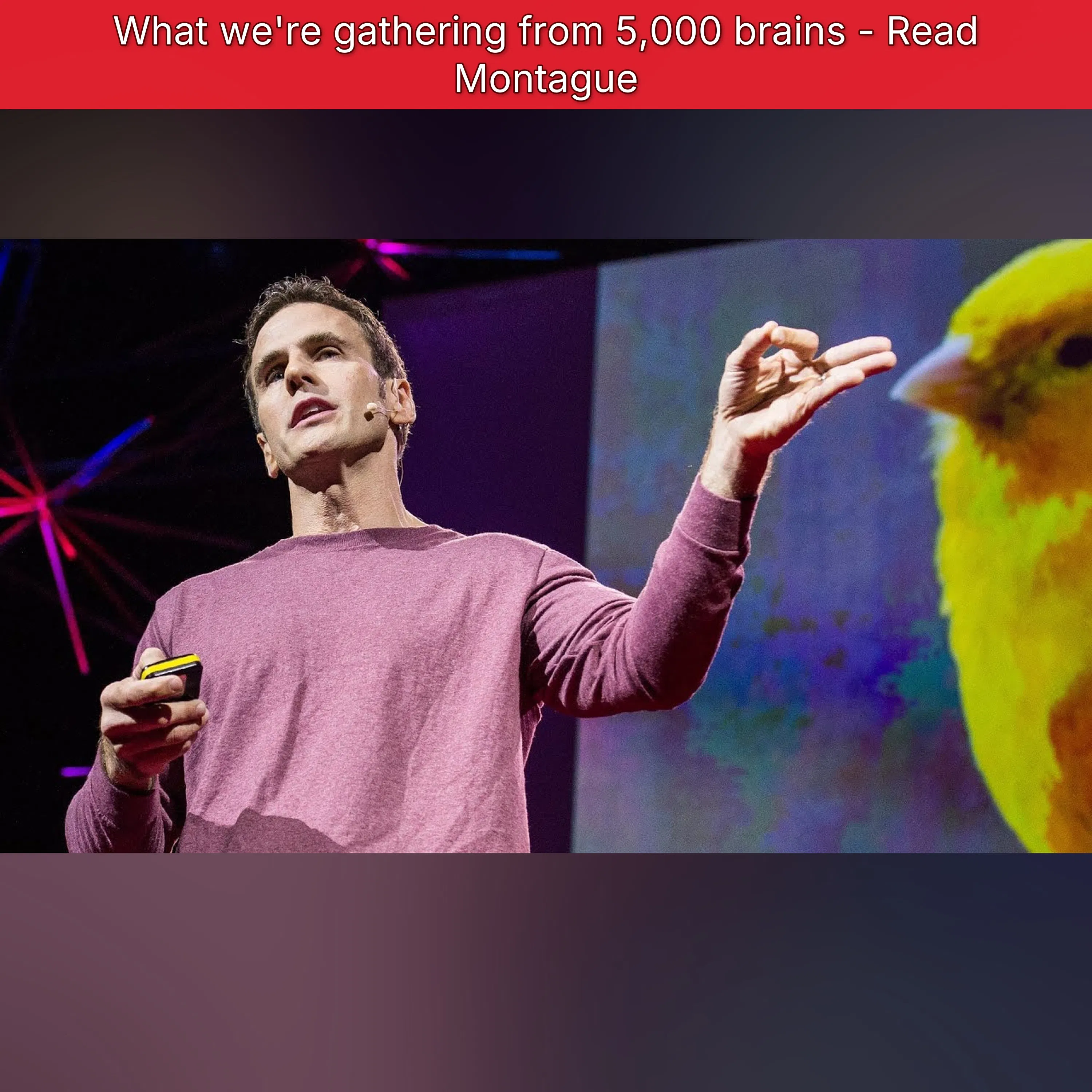 What we're gathering from 5,000 brains - Read Montague