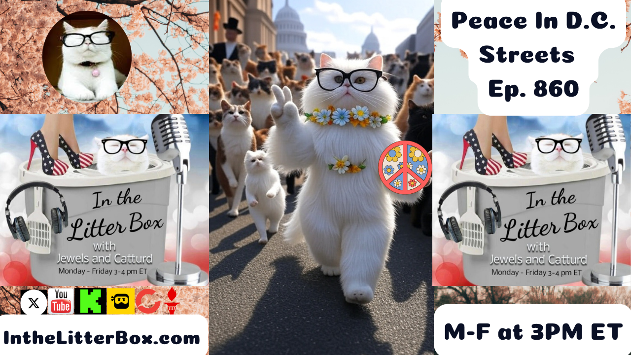 Peace In The D.C. Streets | In the Litter Box w/ Jewels & Catturd – Ep. 860 – 8/11/2025