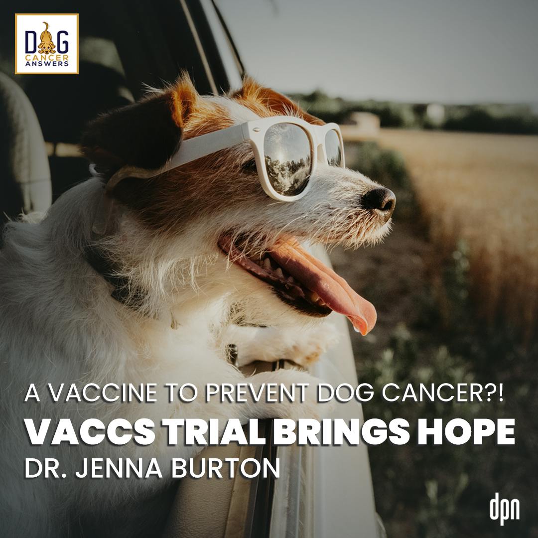A Vaccine to Prevent Dog Cancer?! VACCS Trial Brings Hope | Dr. Jenna Burton #170
