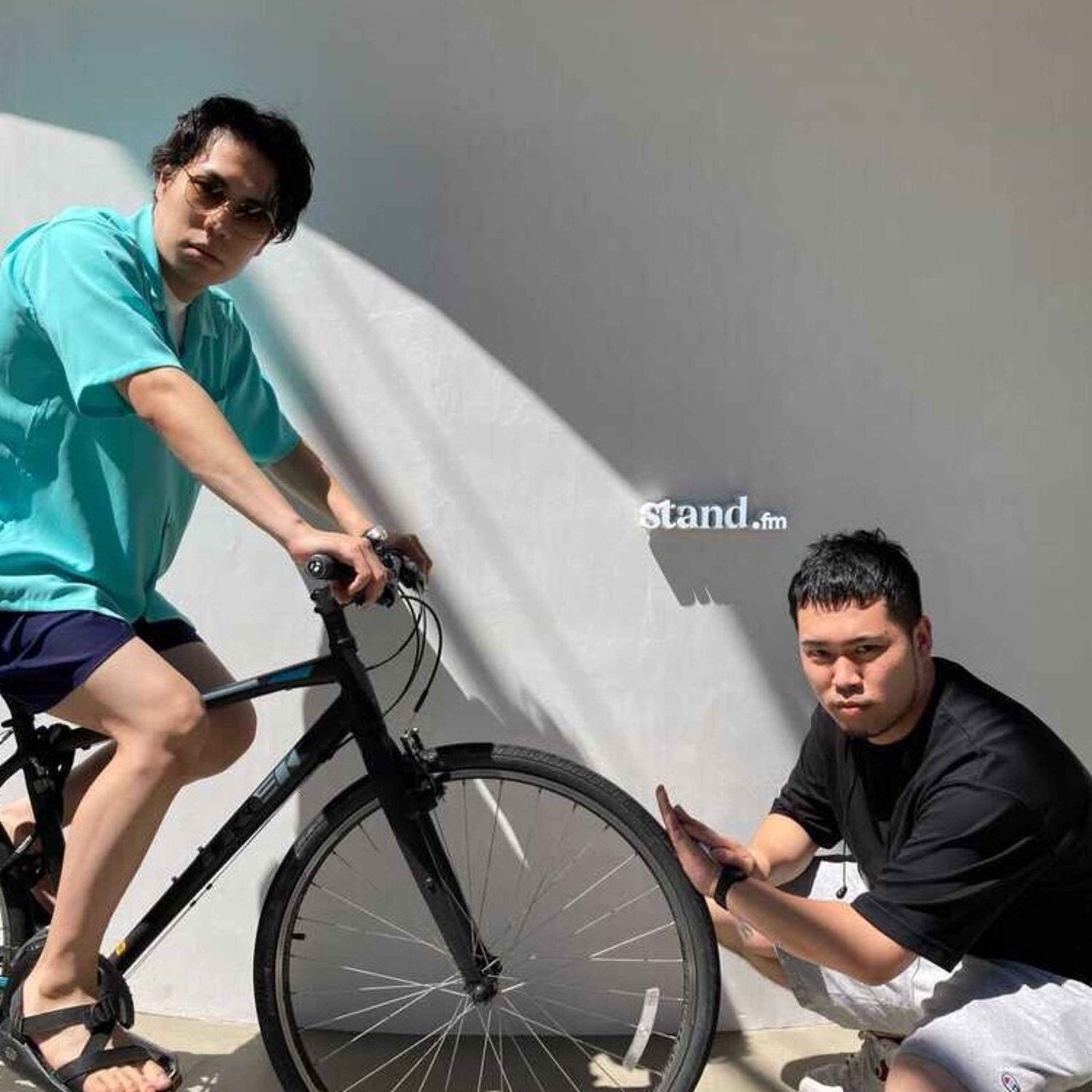 シーズン3-26「ごペルチェ素子」