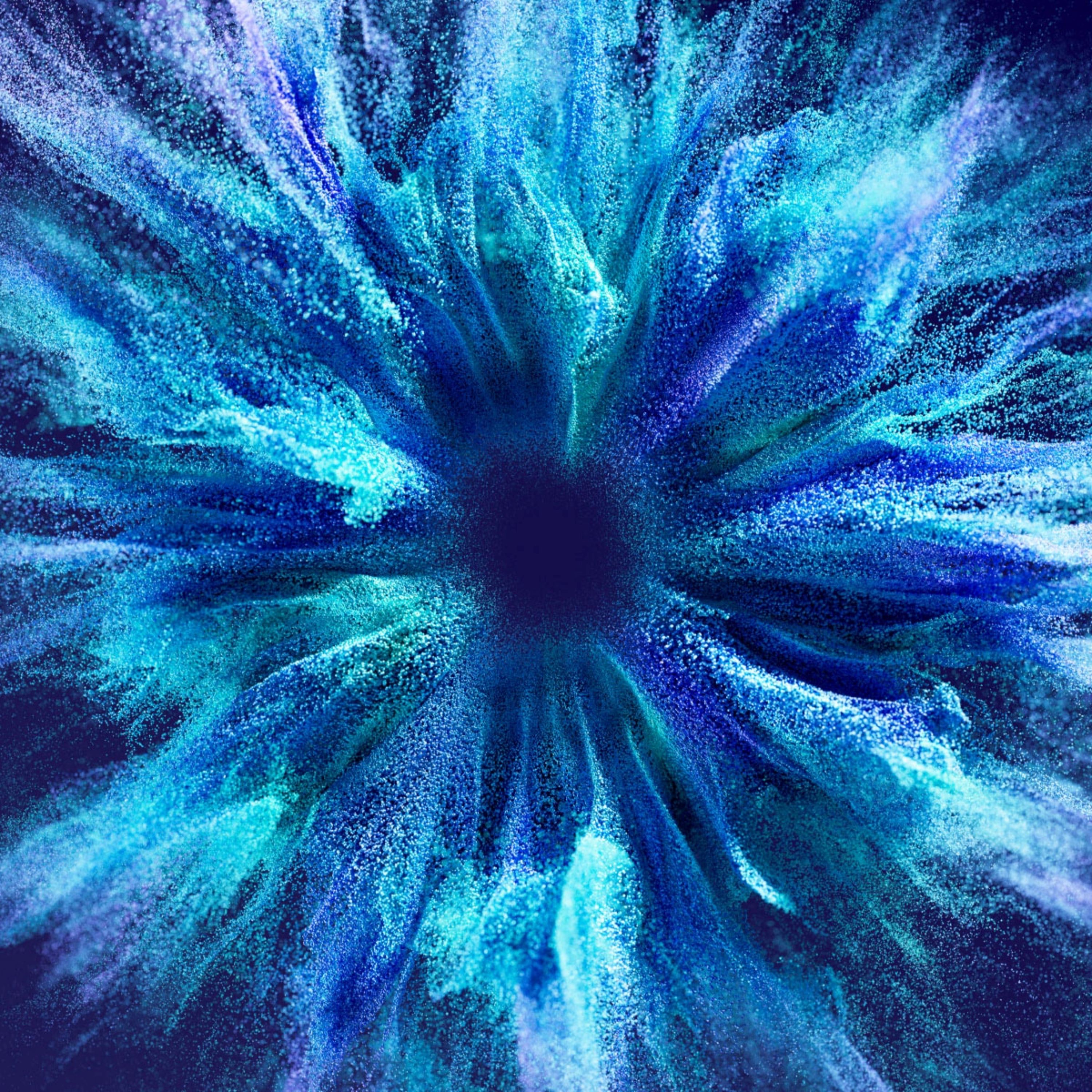 Scotiabank Market Points