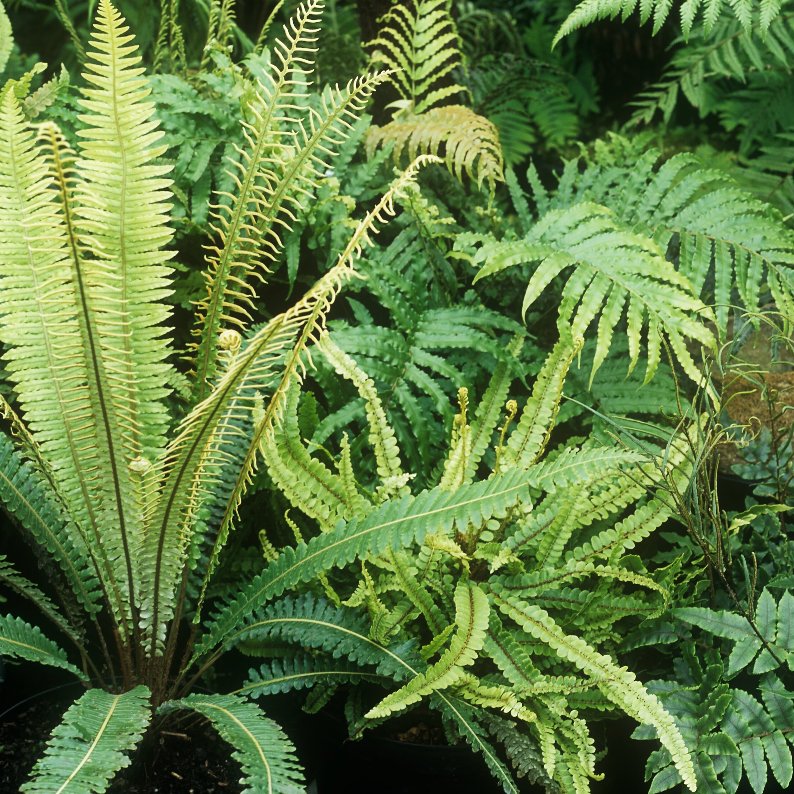 Dark Corners, Bright Ideas