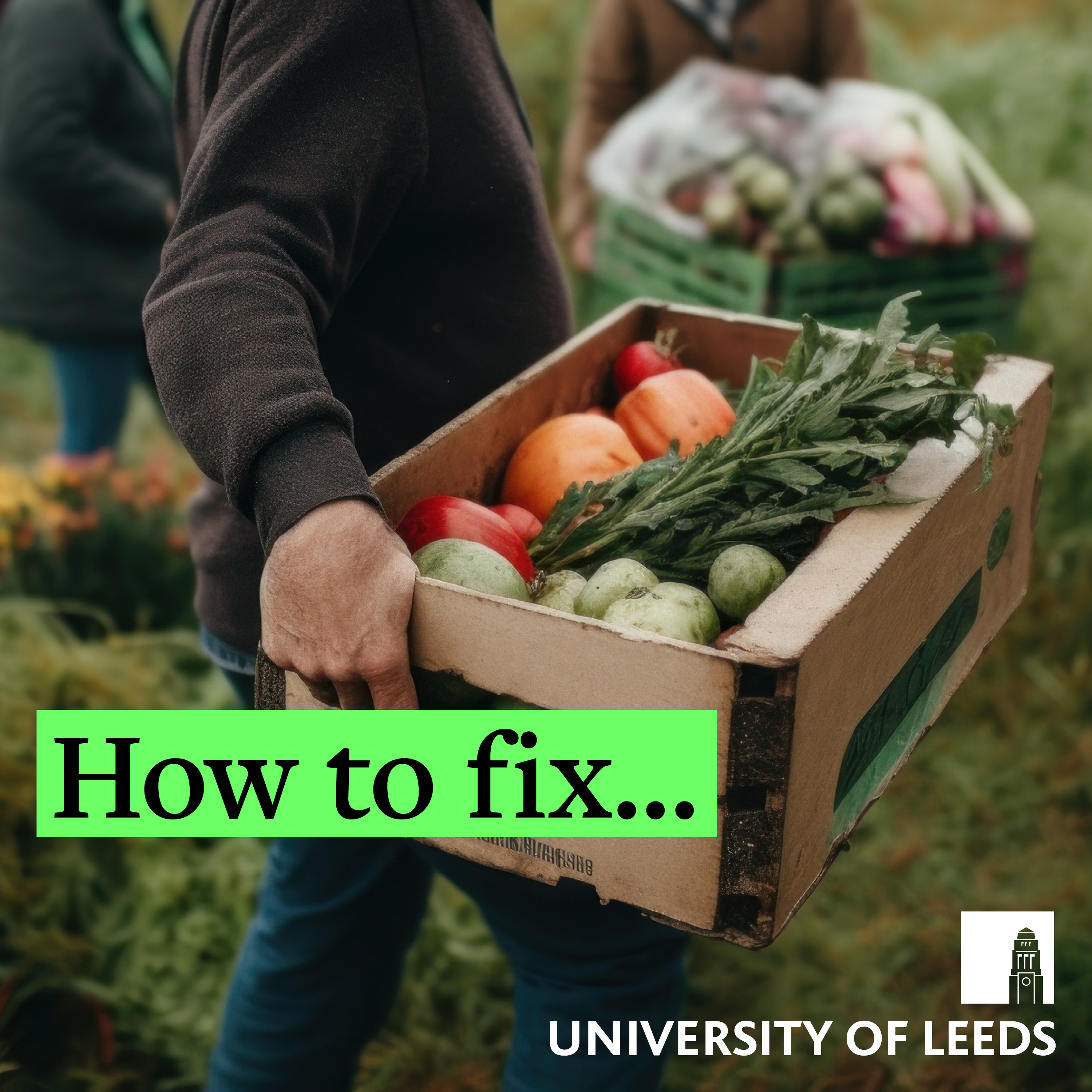 How do we cut the cost of healthy food? episode artwork
