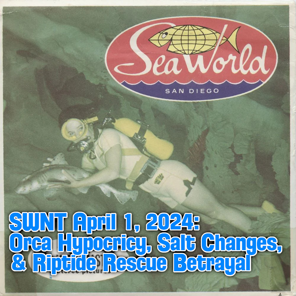 The SW News Today Podcast - with News Today SWNT LLC episode artwork