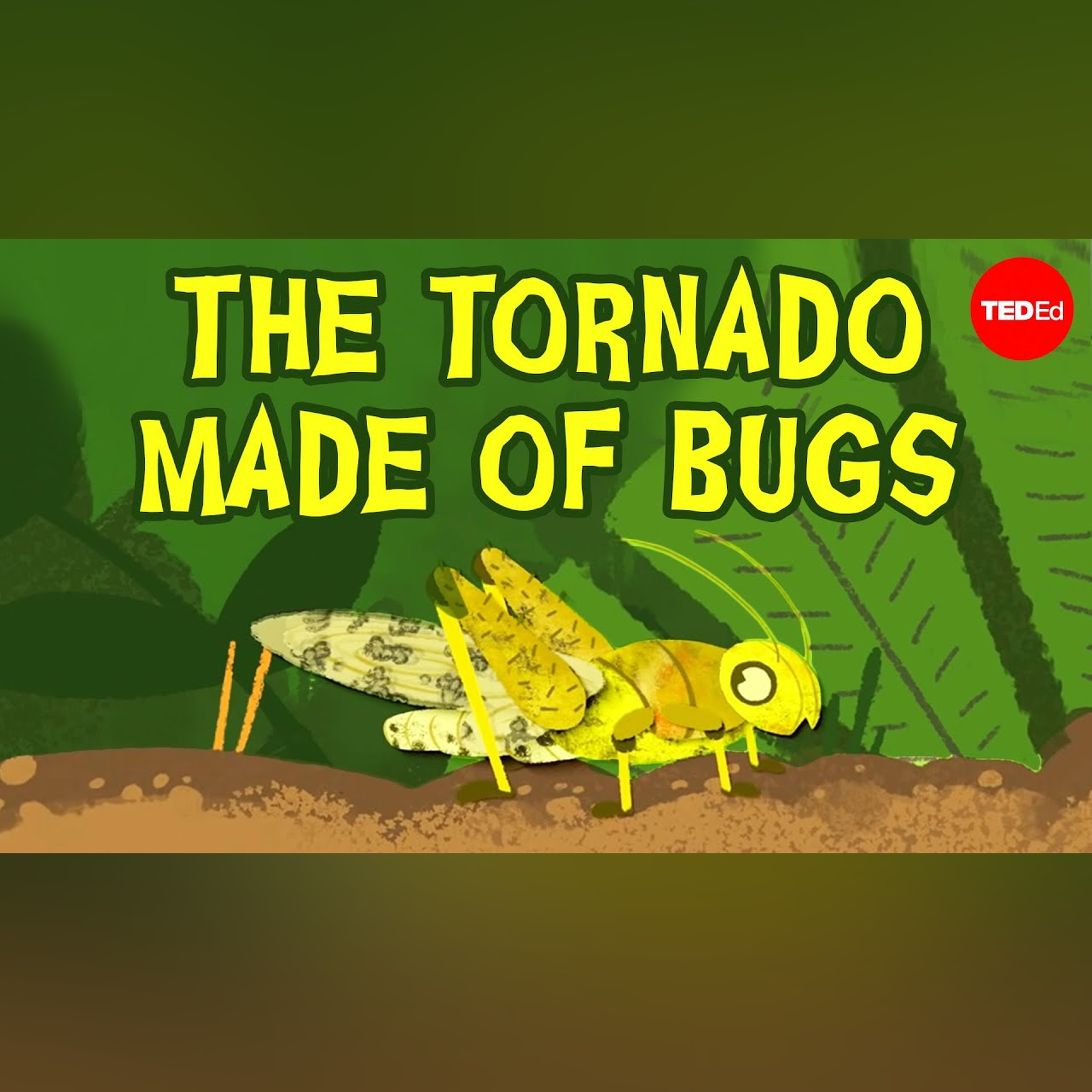 Just add water: The garden insect that can turn into a plague - Jeffrey A. Lockwood episode artwork