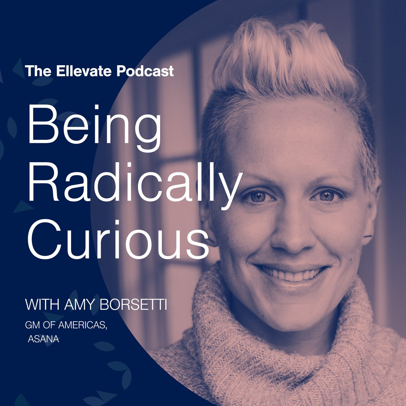 Episode 343: Being Radically Curious, with Amy Borsetti episode artwork