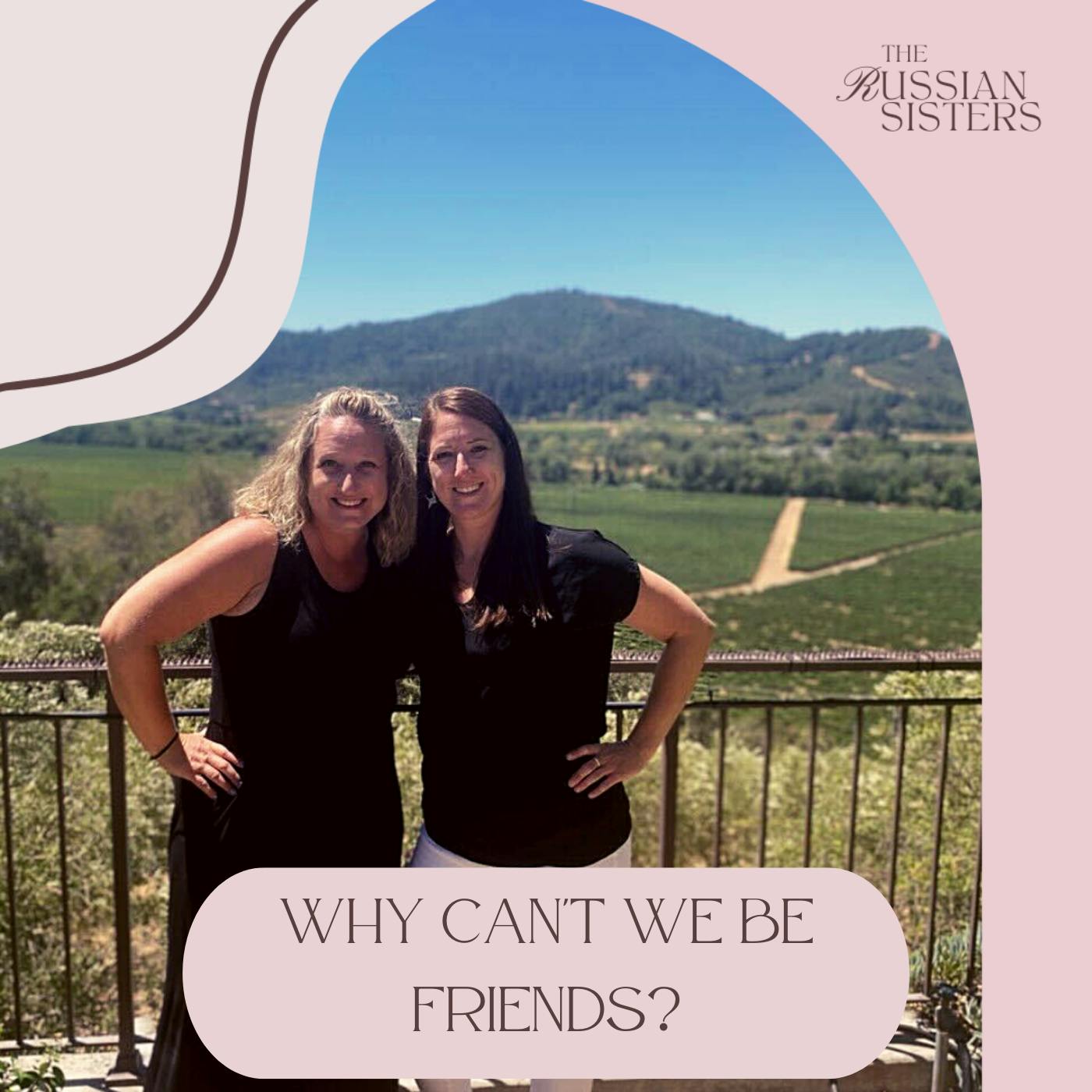 Why Can't We Be Friends Image