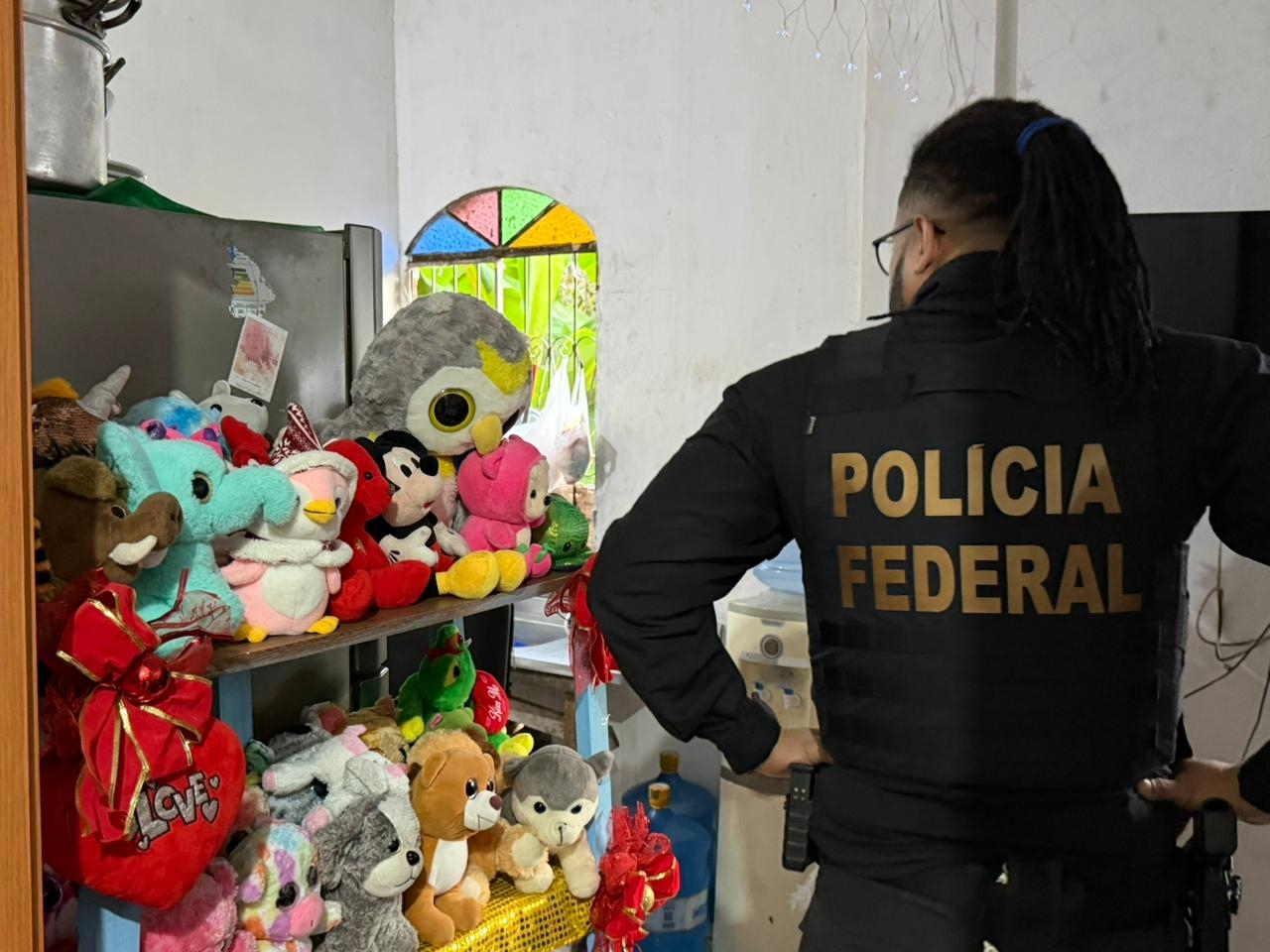'Criminosos violam de forma grave e severa a dignidade sexual de crianças e de adolescentes', diz delegado