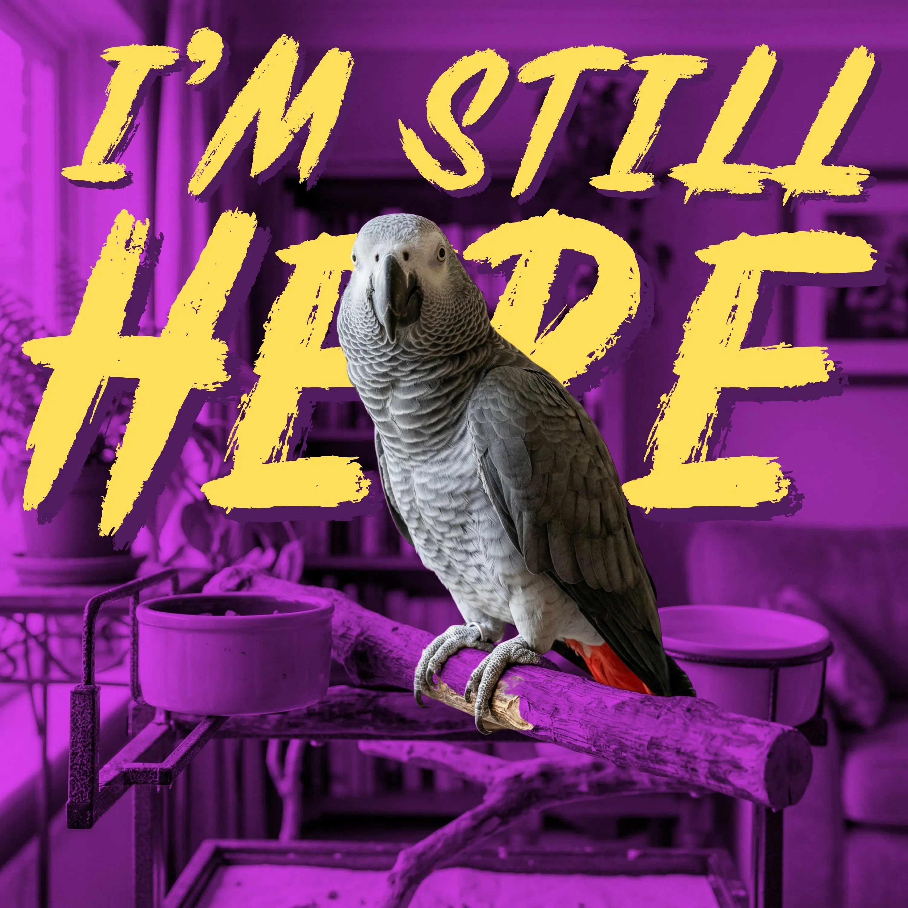 I'm Still Here episode artwork