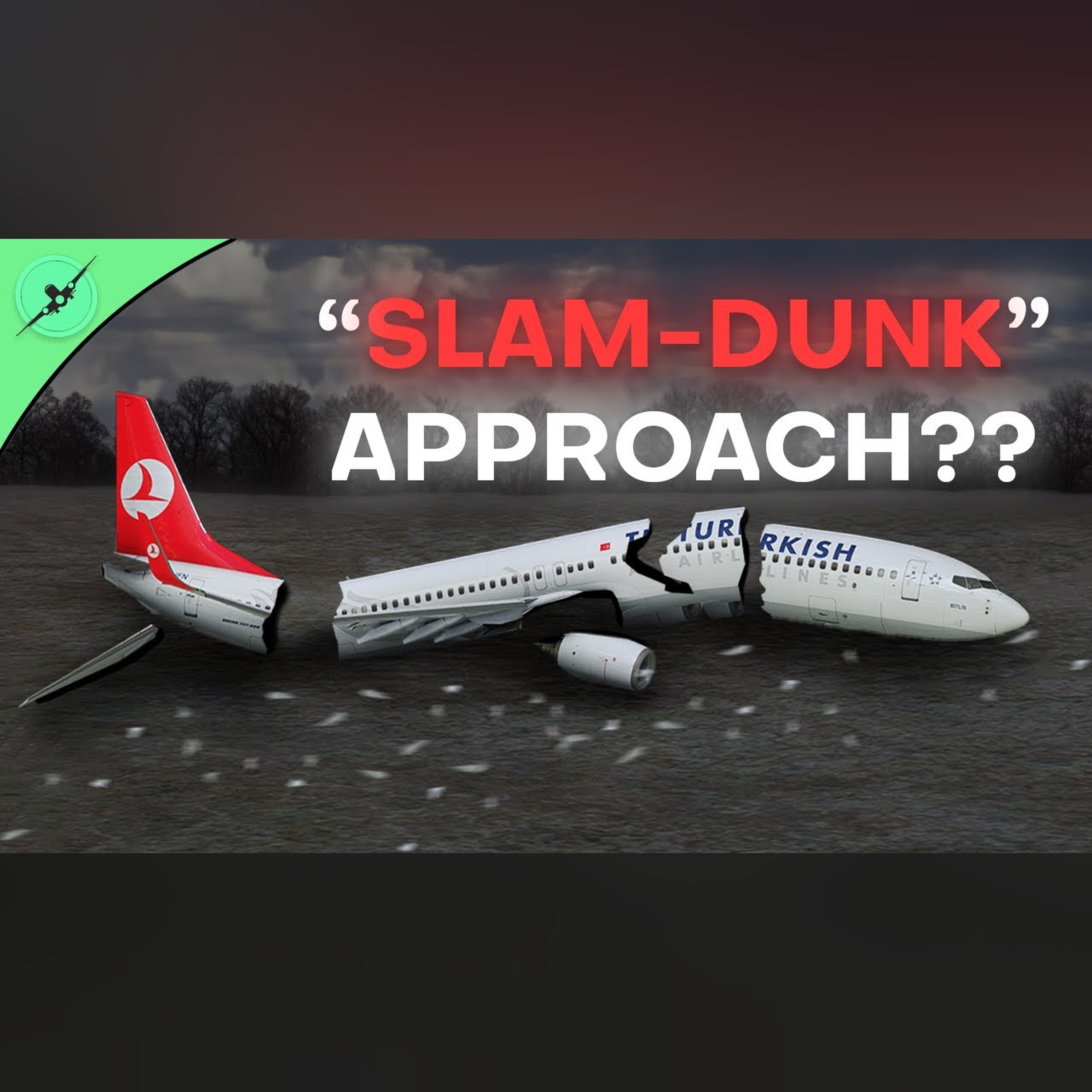 Why did this 737 FALL out of the sky?? | Turkish 1951