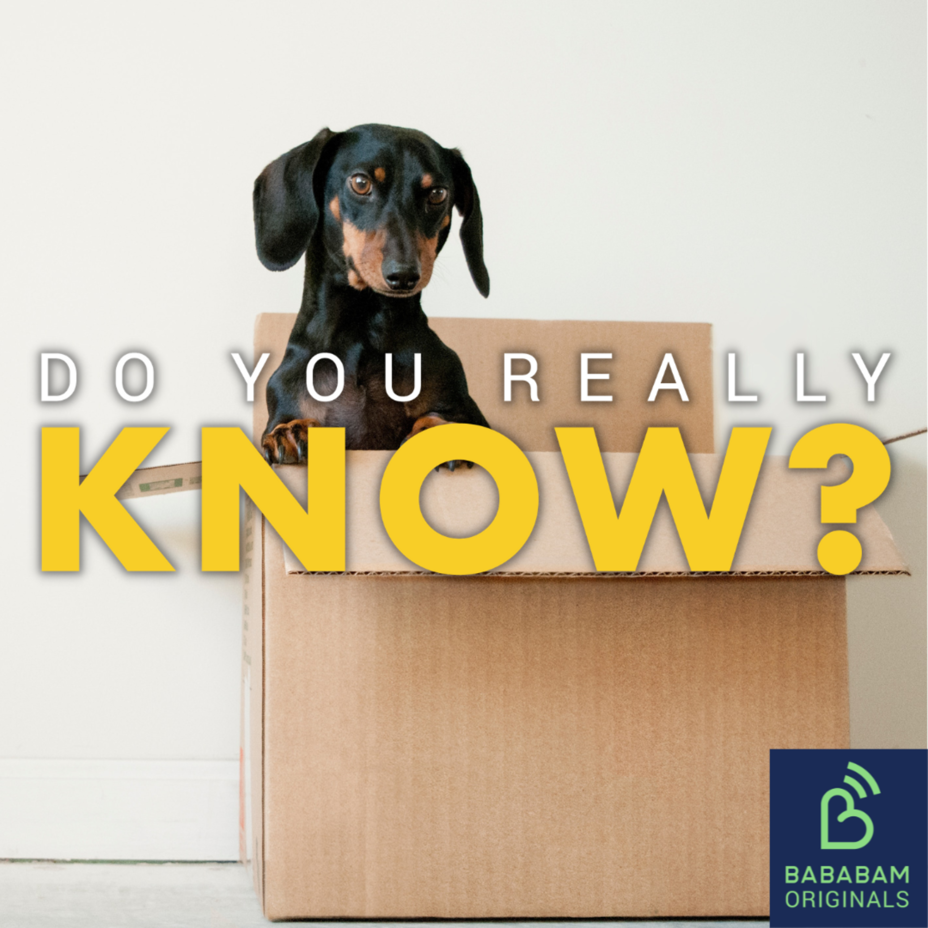 How can I move house stress-free?