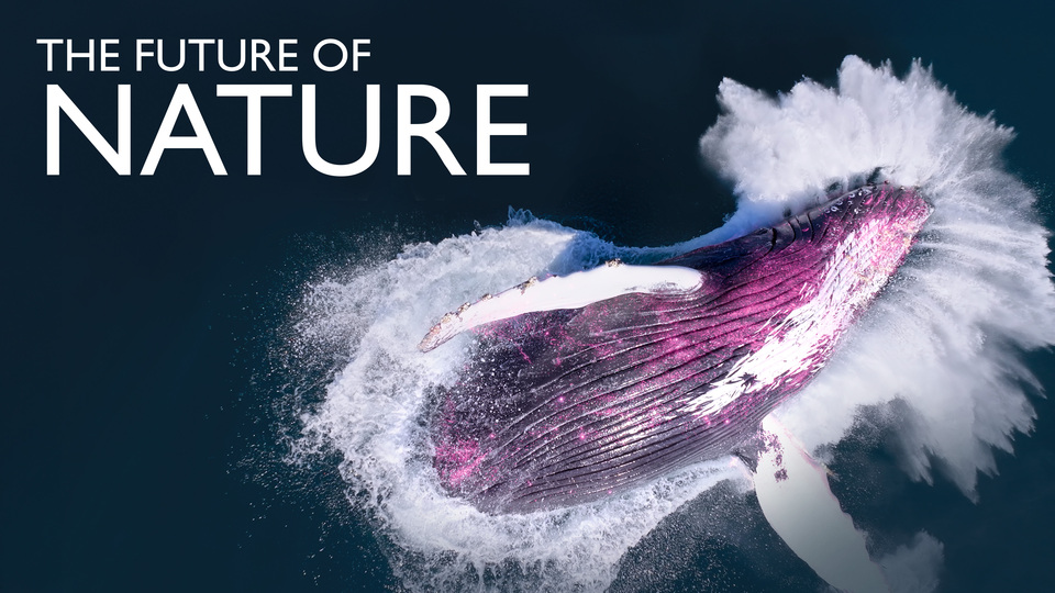 Inspiration from PBS's Future of Nature w/Verity White
