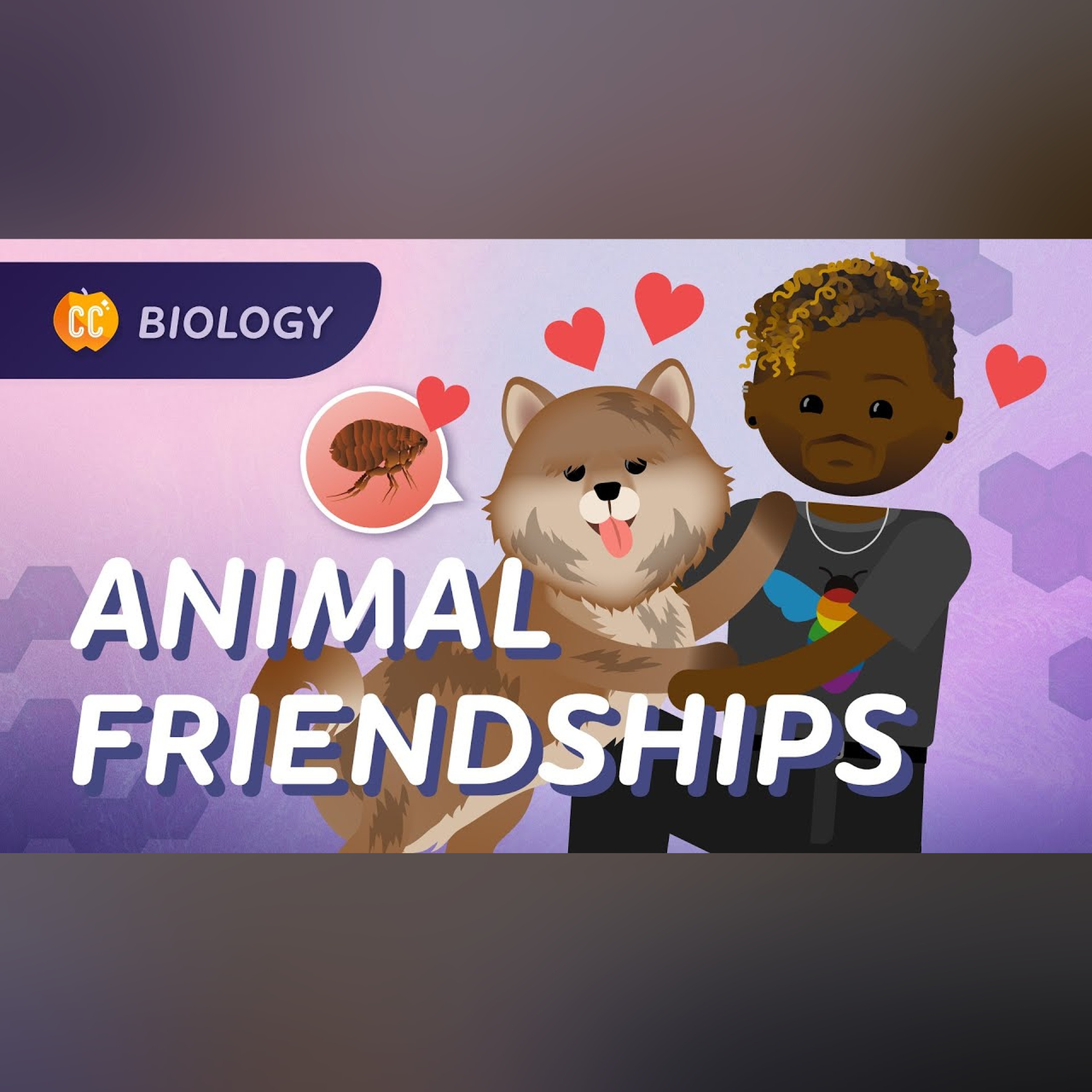 Community Ecology: Interspecies Interactions: Crash Course Biology #6