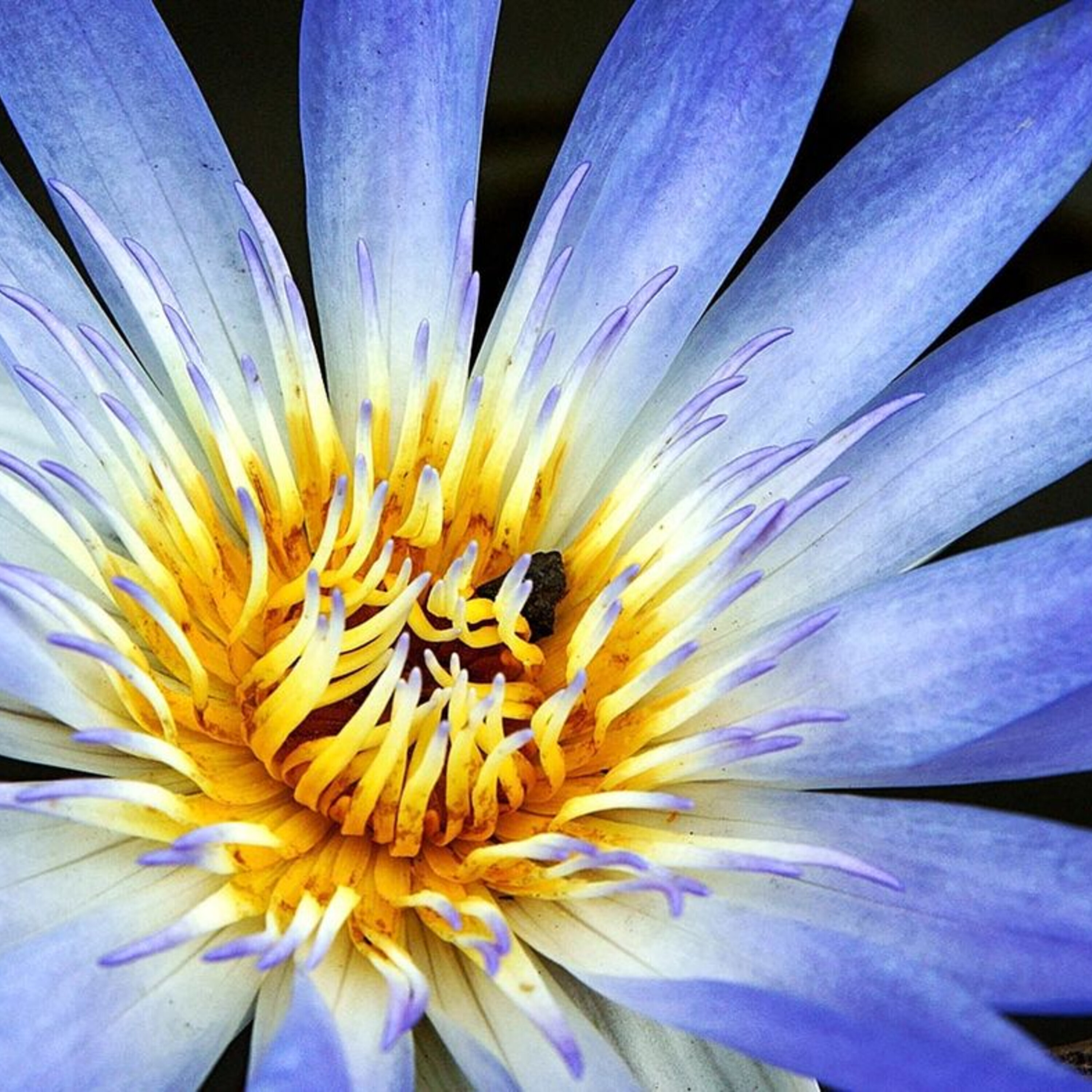 Drug use in the ancient world, and what will happen to plants as carbon dioxide levels increase