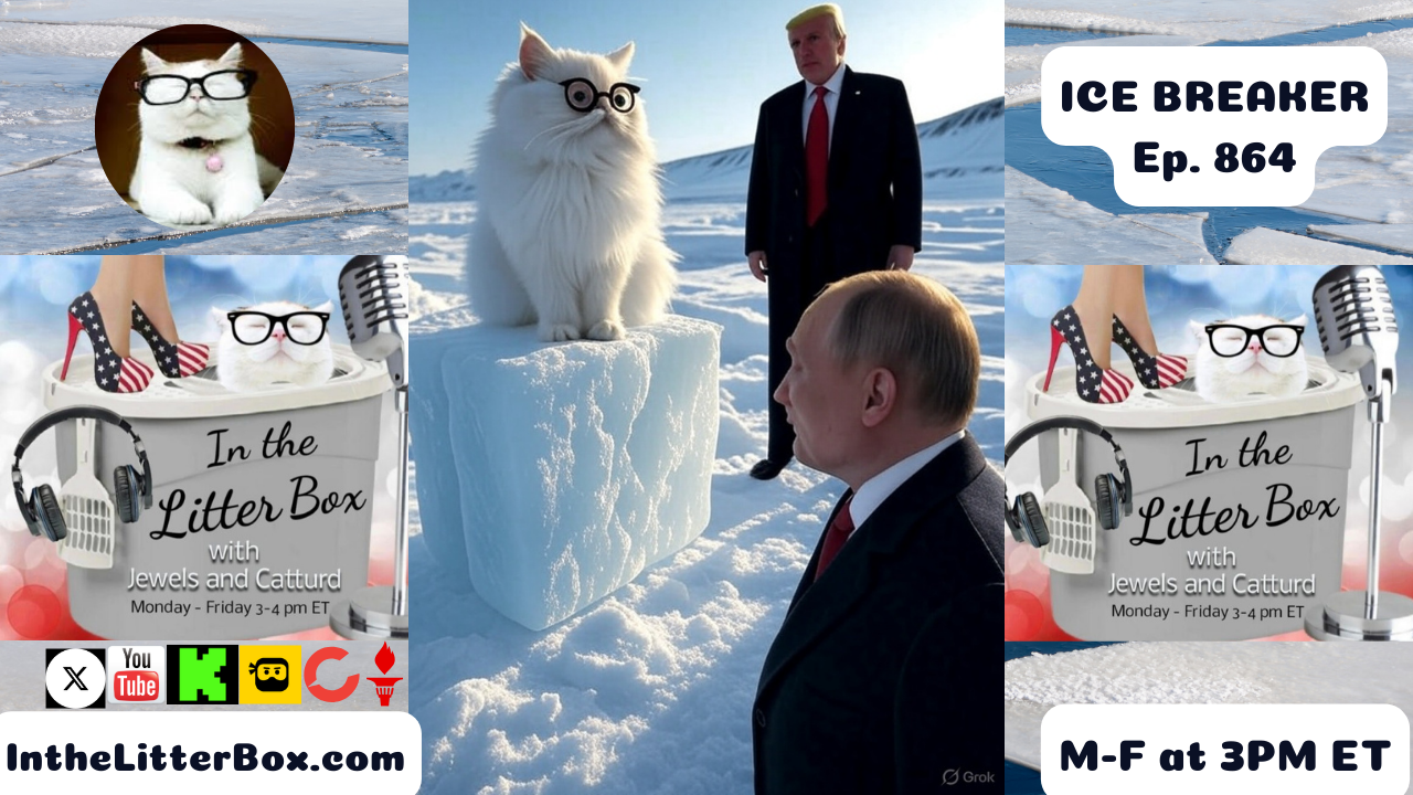 ICE BREAKER | In the Litter Box w/ Jewels & Catturd – Ep. 864 – 8/15/2025