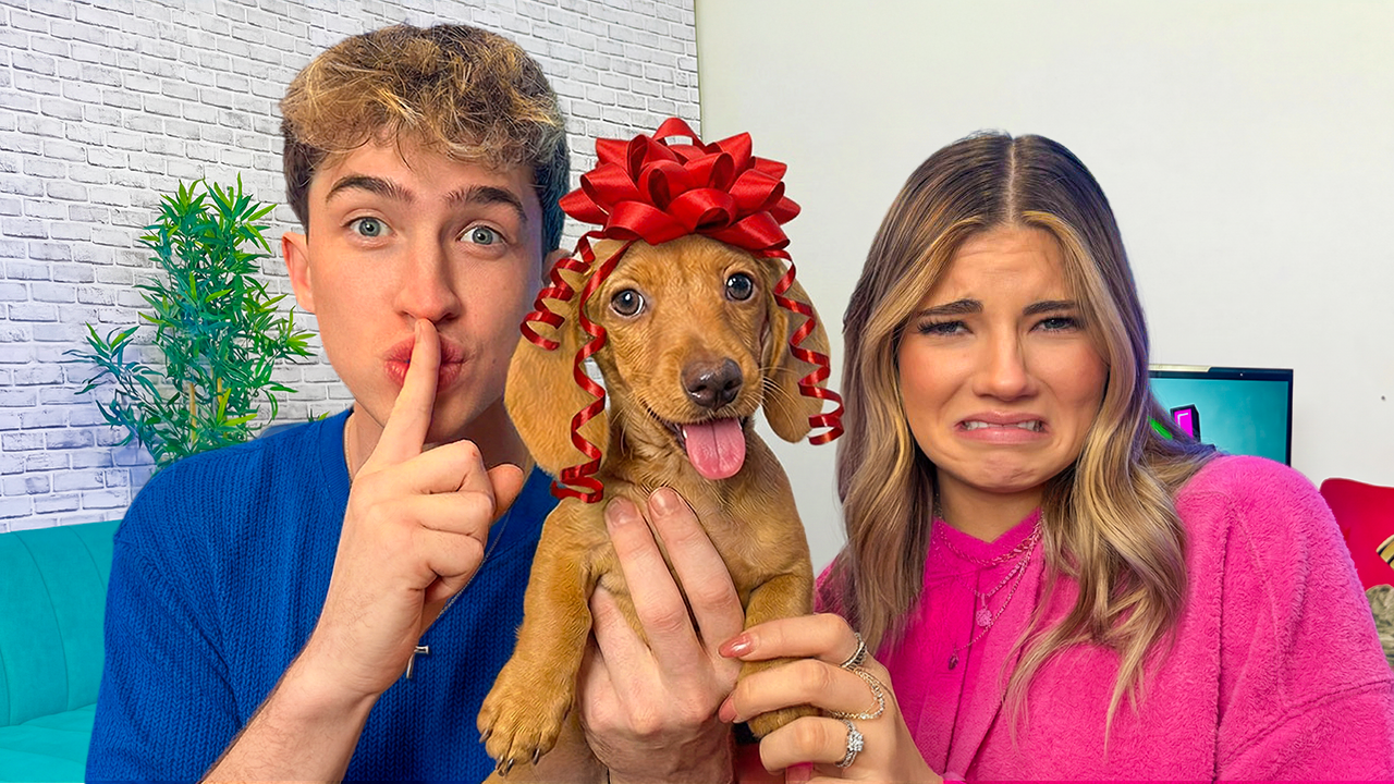 Kate Got A New Puppy!