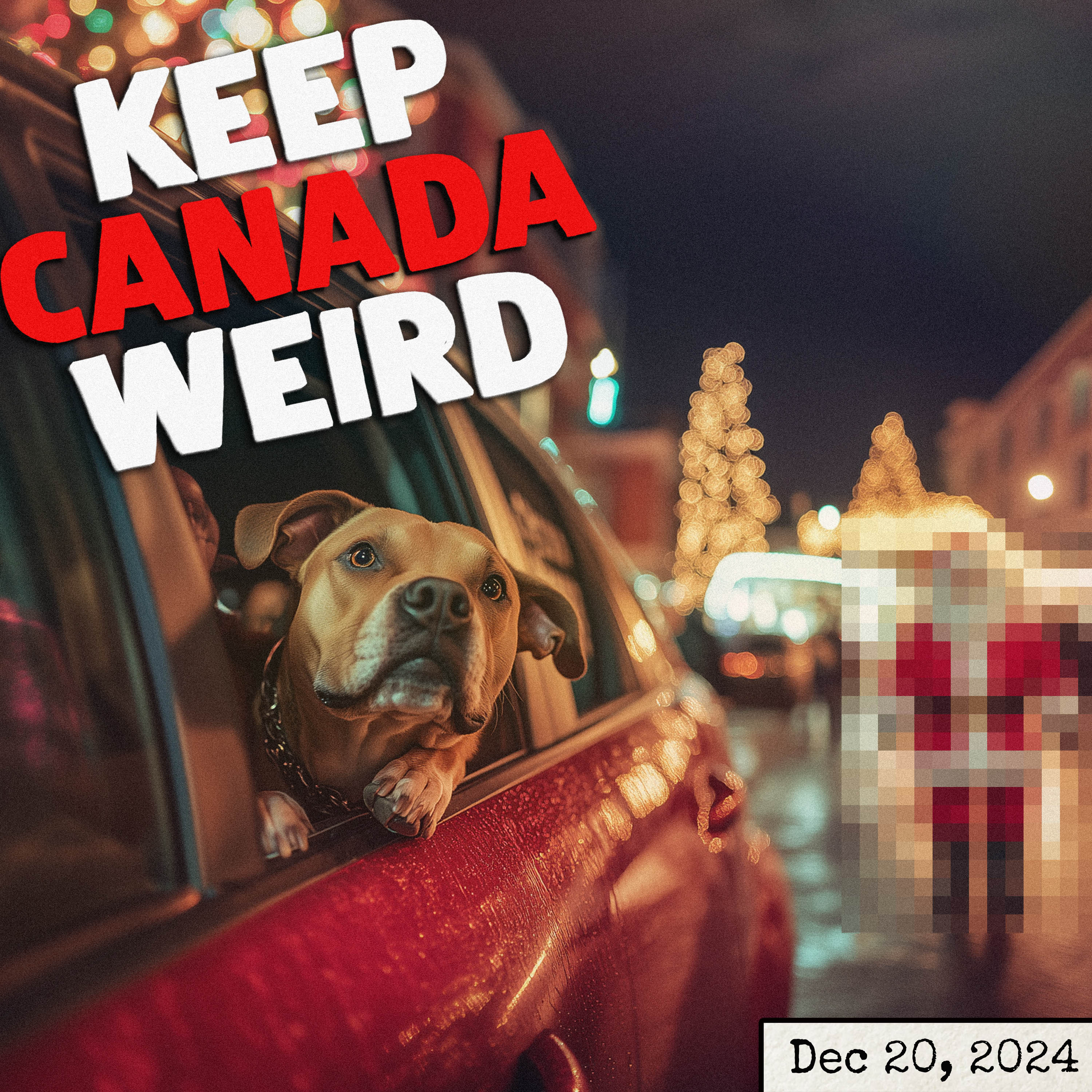 144 - Dec 20, 2024 - an impatient dog, Canadians behaving badly, the Excel champ, Christmas episode artwork