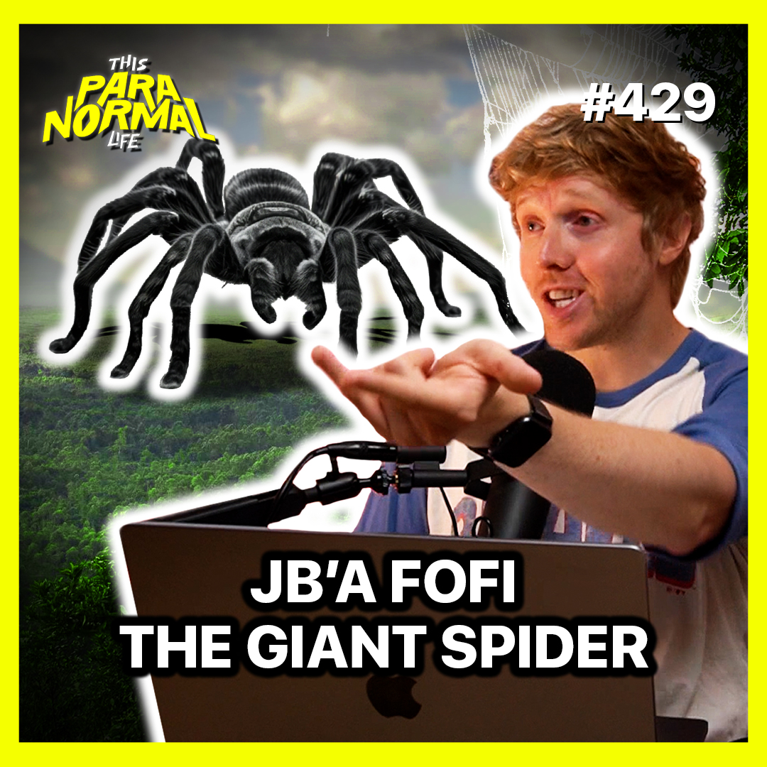 J'Ba Fofi - The Giant Spiders of the Congo artwork