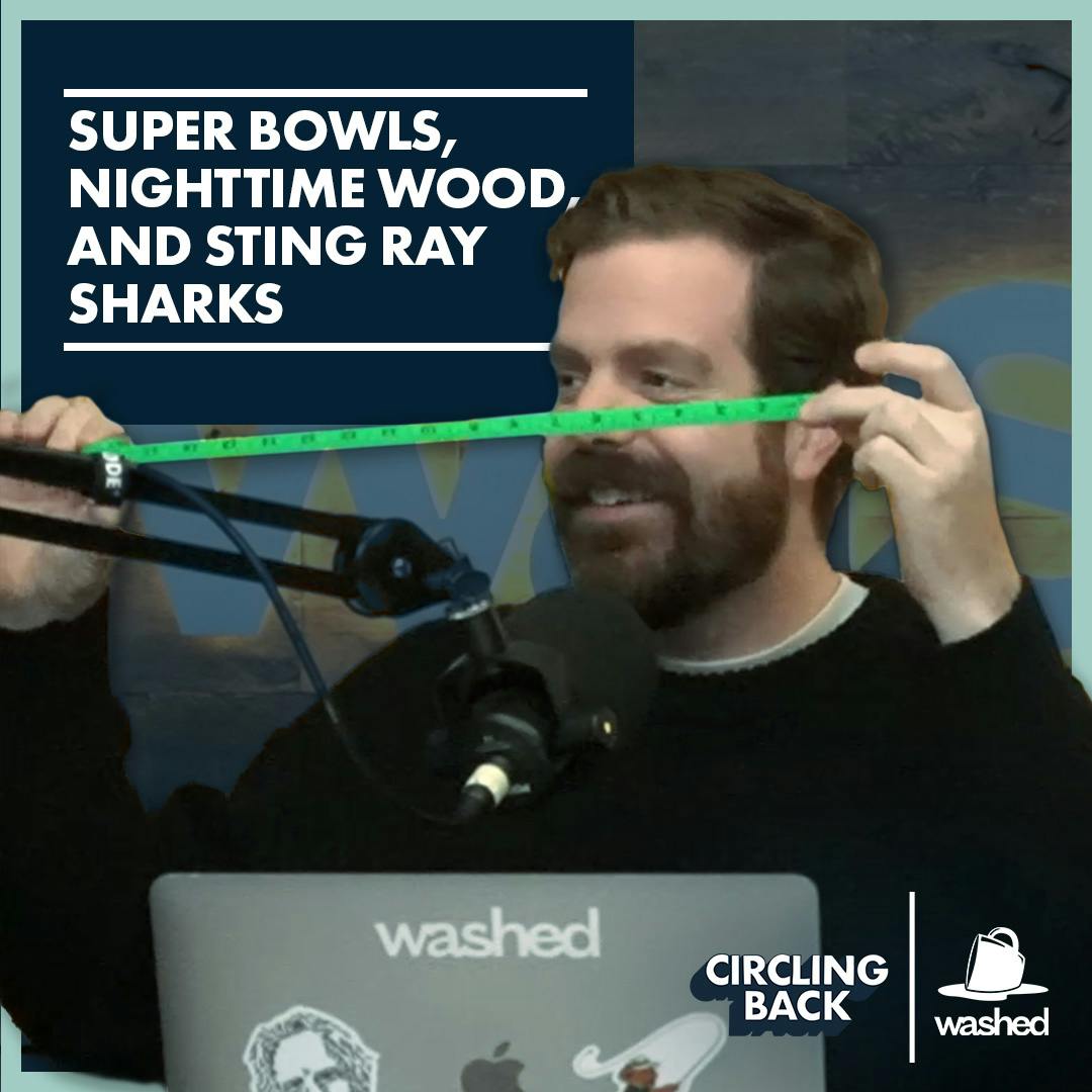 Super Bowls, Nighttime Wood, and Sting Ray Sharks
