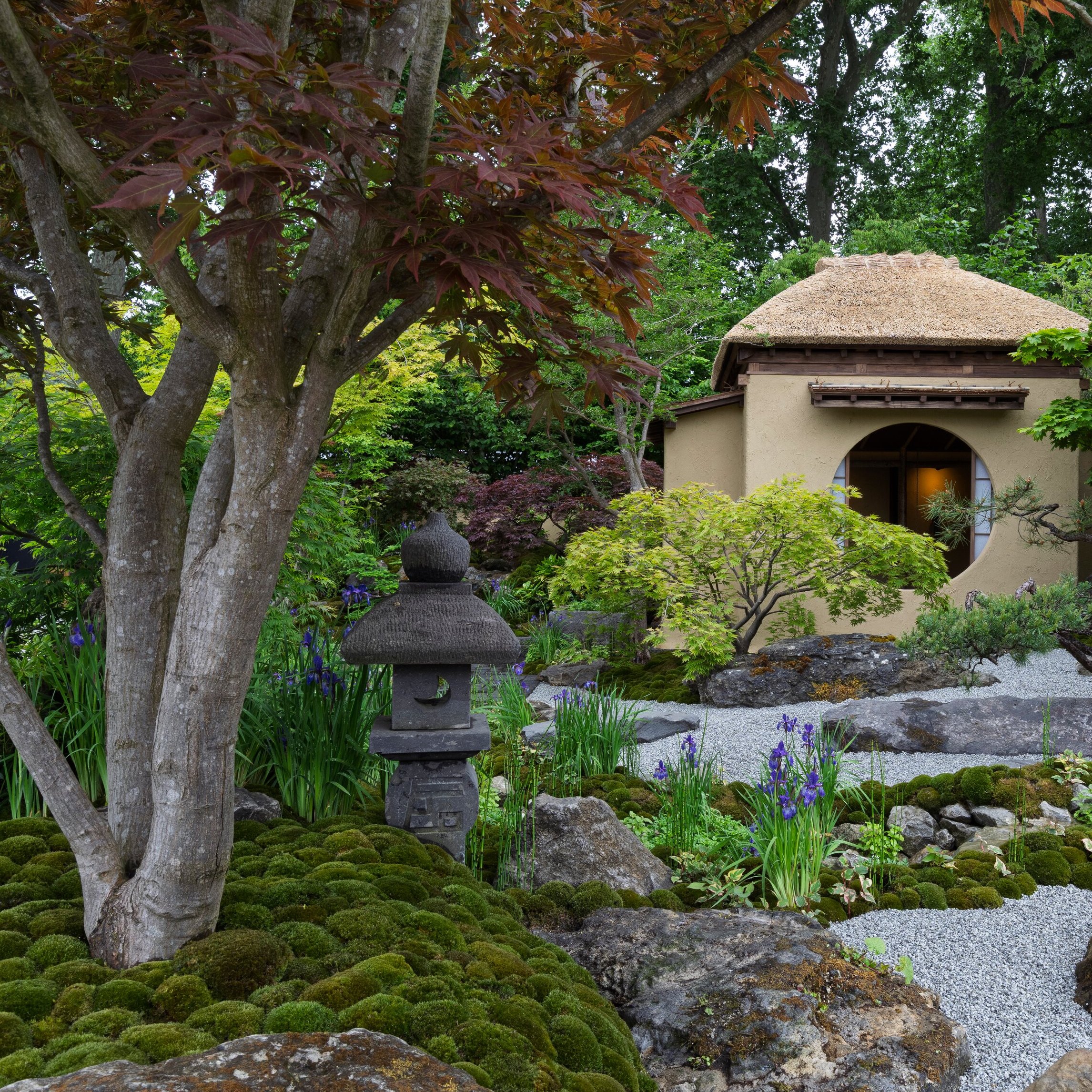 The RHS Chelsea Flower Show 2025