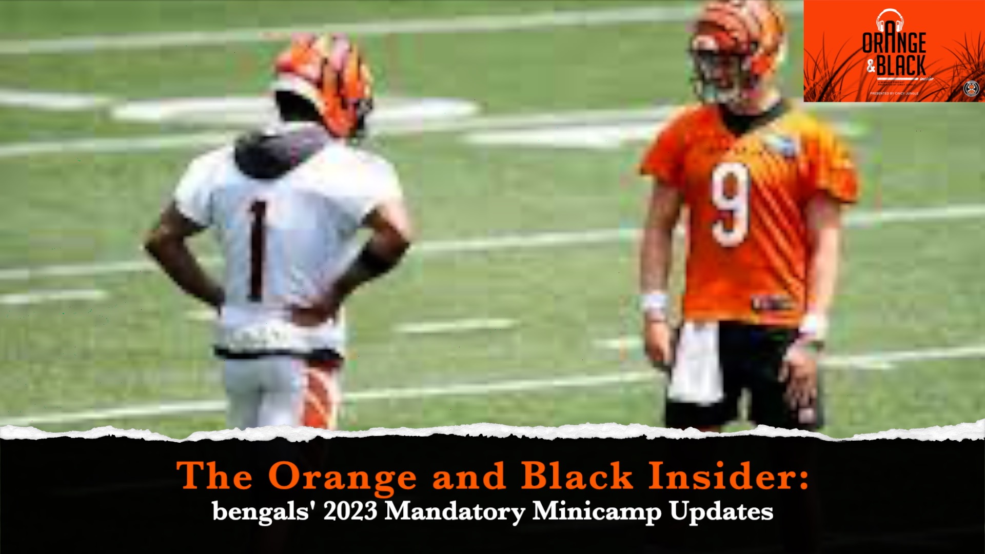 The Orange and Black Insider Bengals podcast: Bengals' 2023 Mandatory Minicamp Update episode artwork