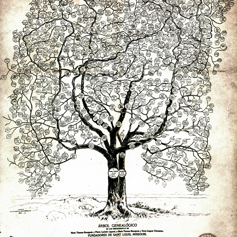 Genealogies of Modernity Episode 3: What Is Genealogy?