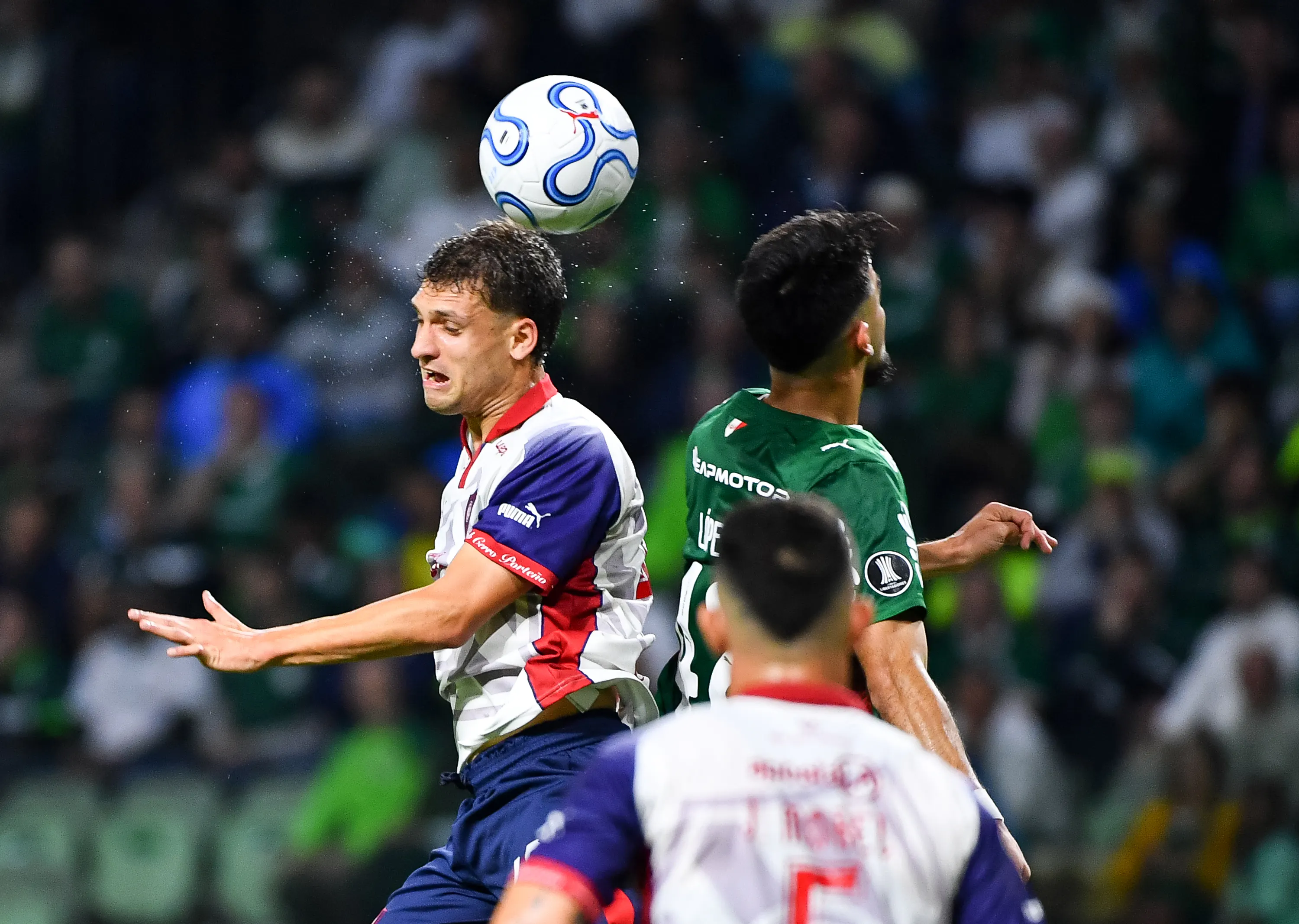 Após classificação na Libertadores, Palmeiras busca retomar vitórias para se afastar do Flamengo