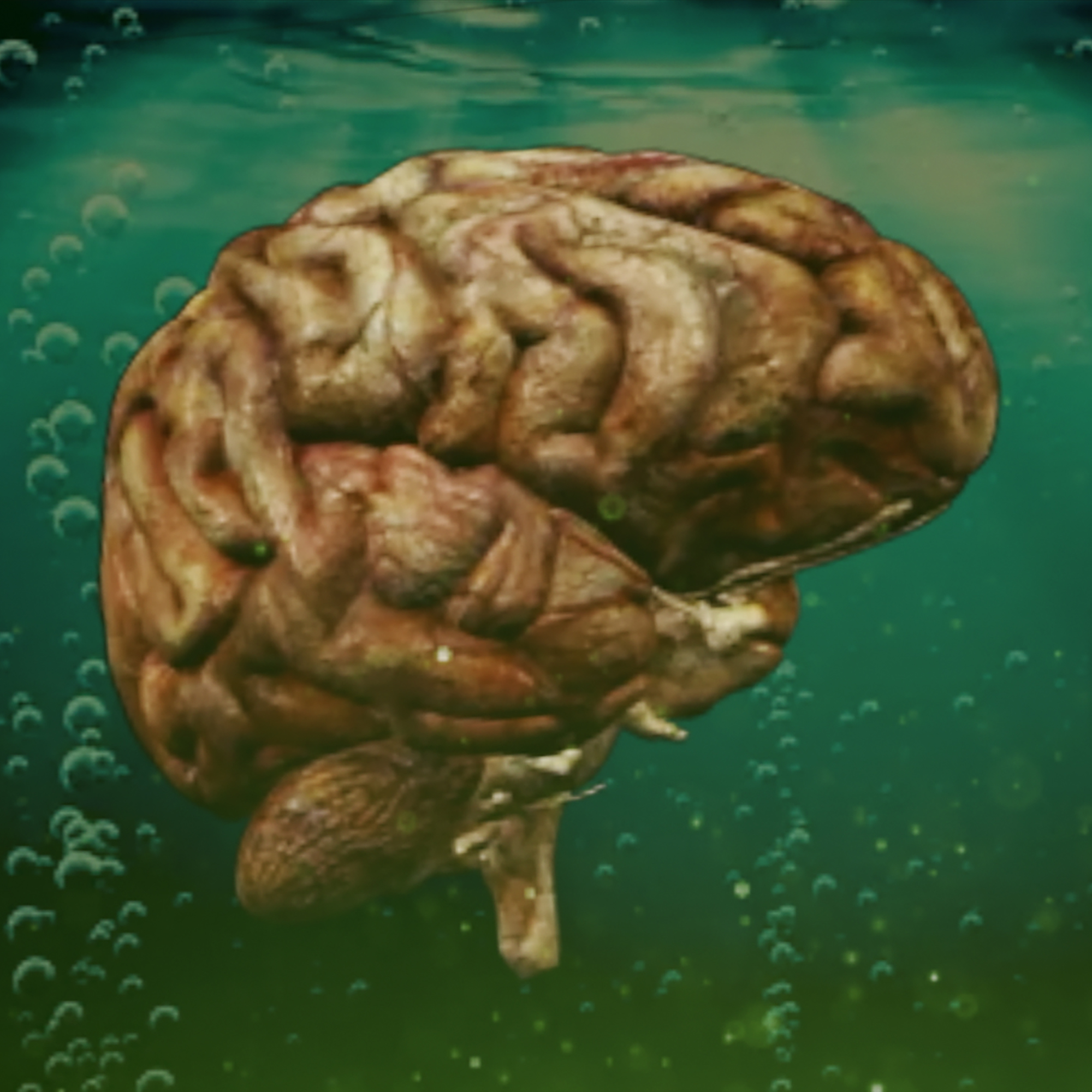 Thumbnail for "Brain Chemistry".