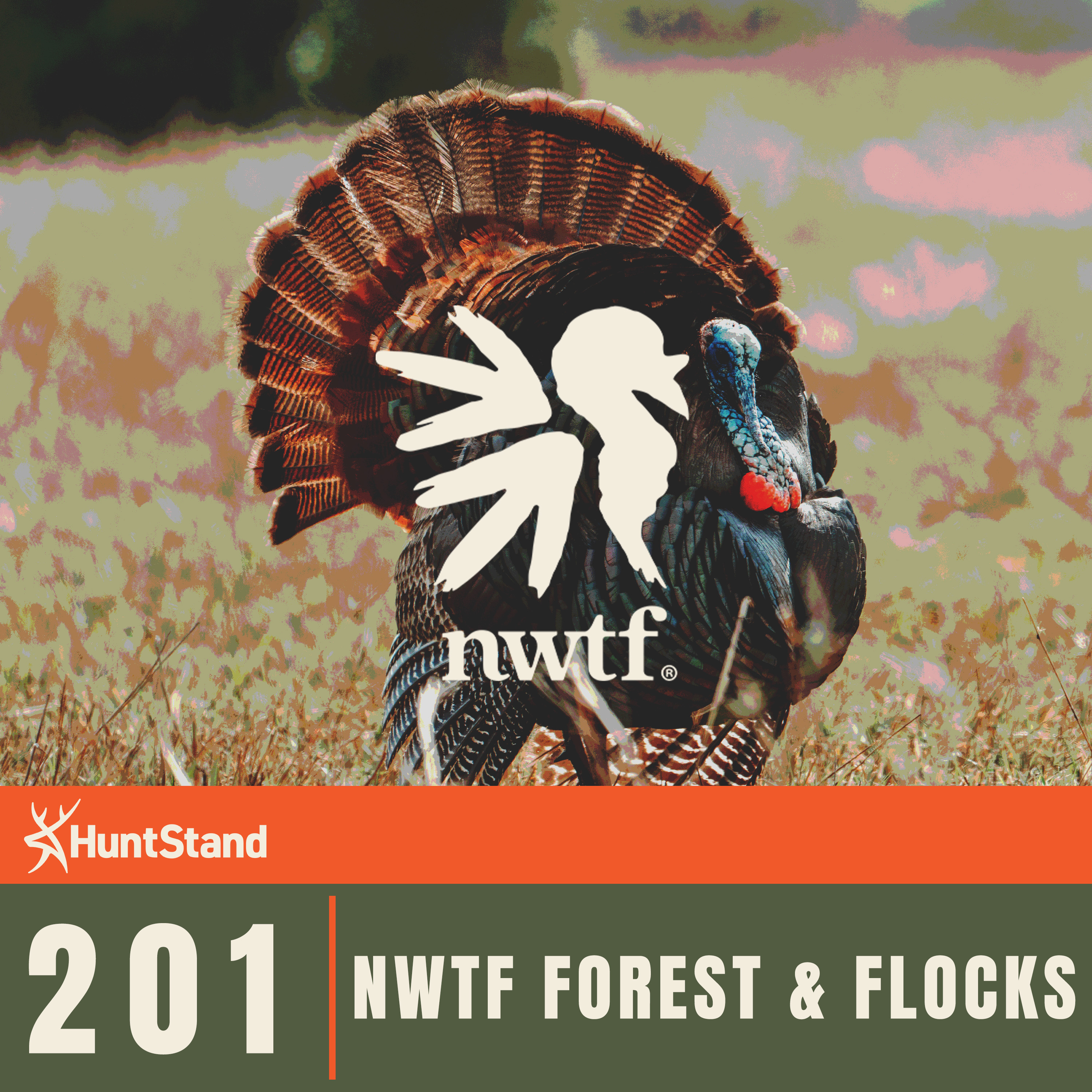 NWTF Forests and Flocks: Restoring Habitat for Wild Turkeys