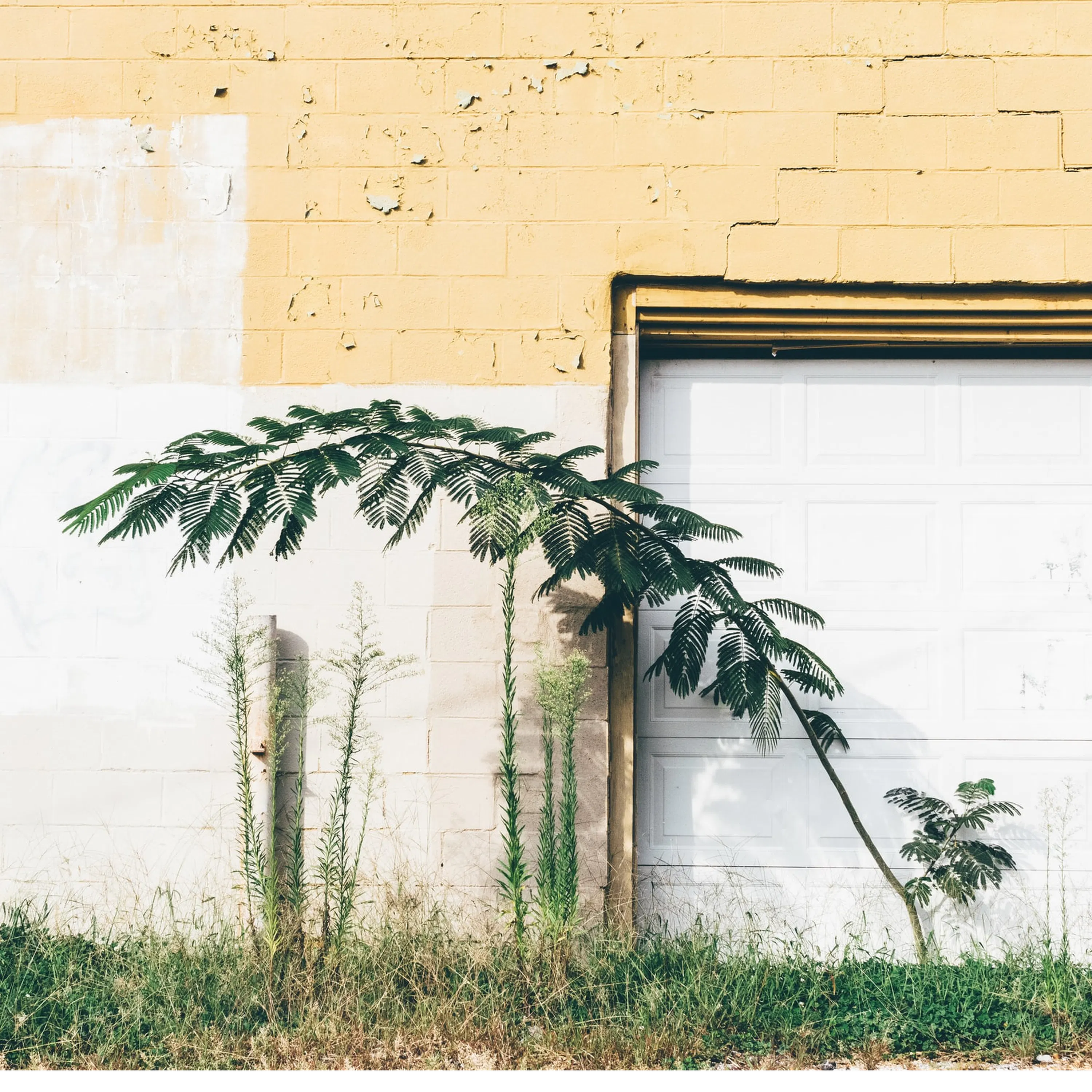 Qu'est-ce que l'amnésie environnementale ?
