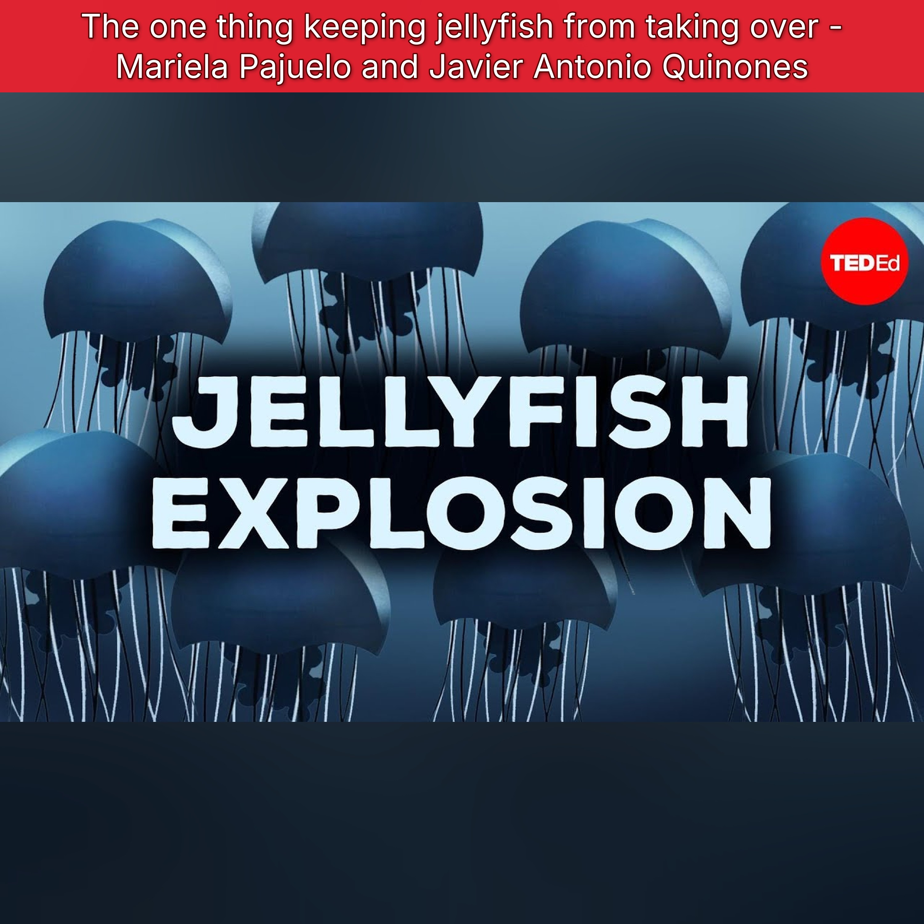 The one thing keeping jellyfish from taking over - Mariela Pajuelo and Javier Antonio Quinones episode artwork