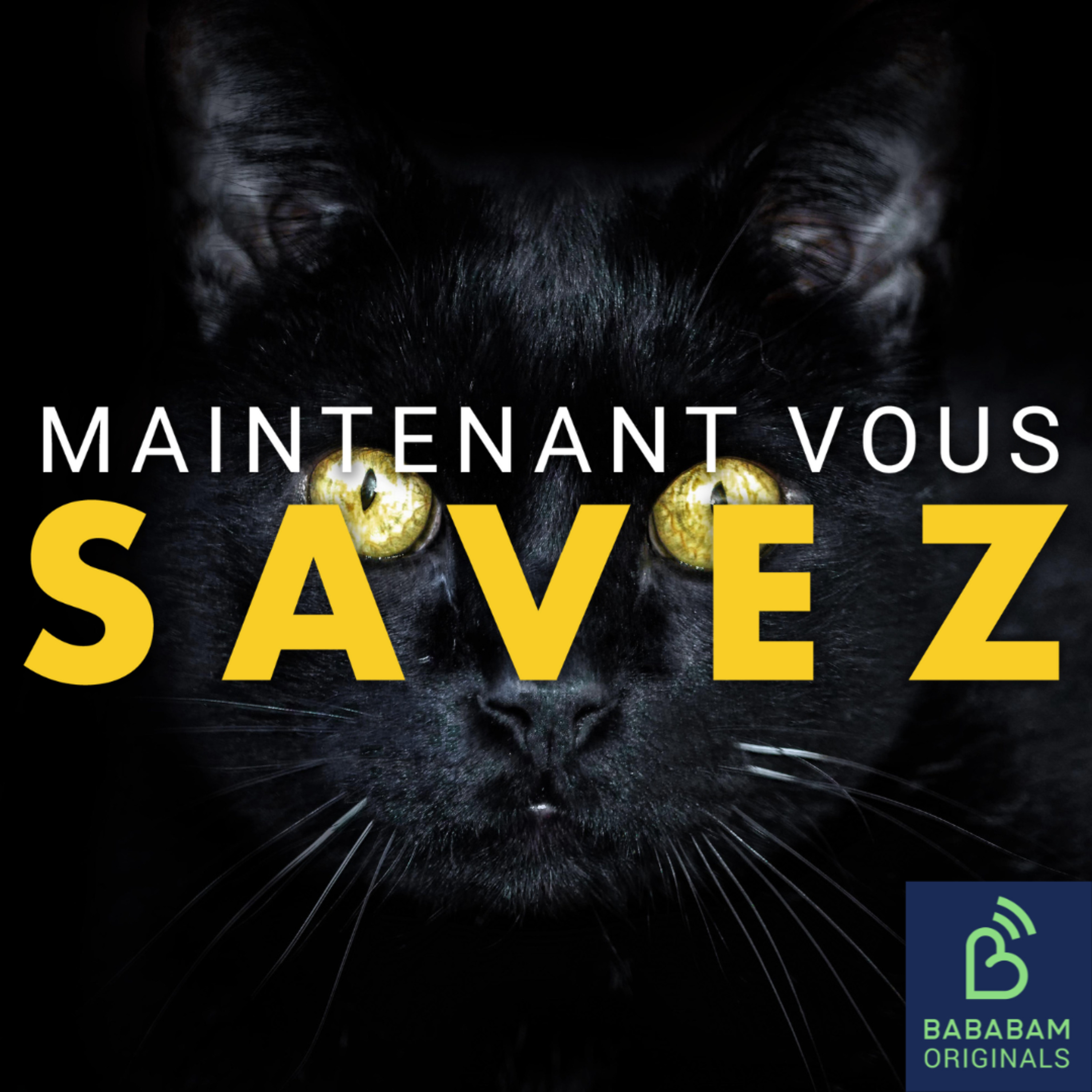 D’où vient le mythe de la "vieille fille à chat" ?