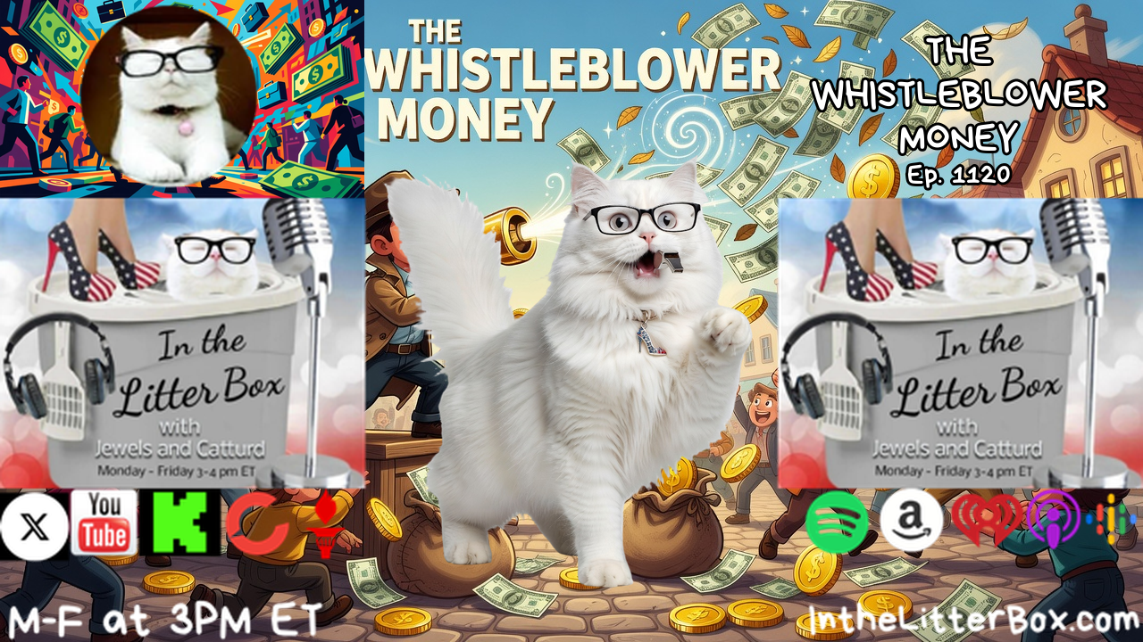 THE WHISTLEBLOWER MONEY | In the Litter Box w/ Jewels & Catturd – Ep. 1120 – 10/21/2026 episode artwork