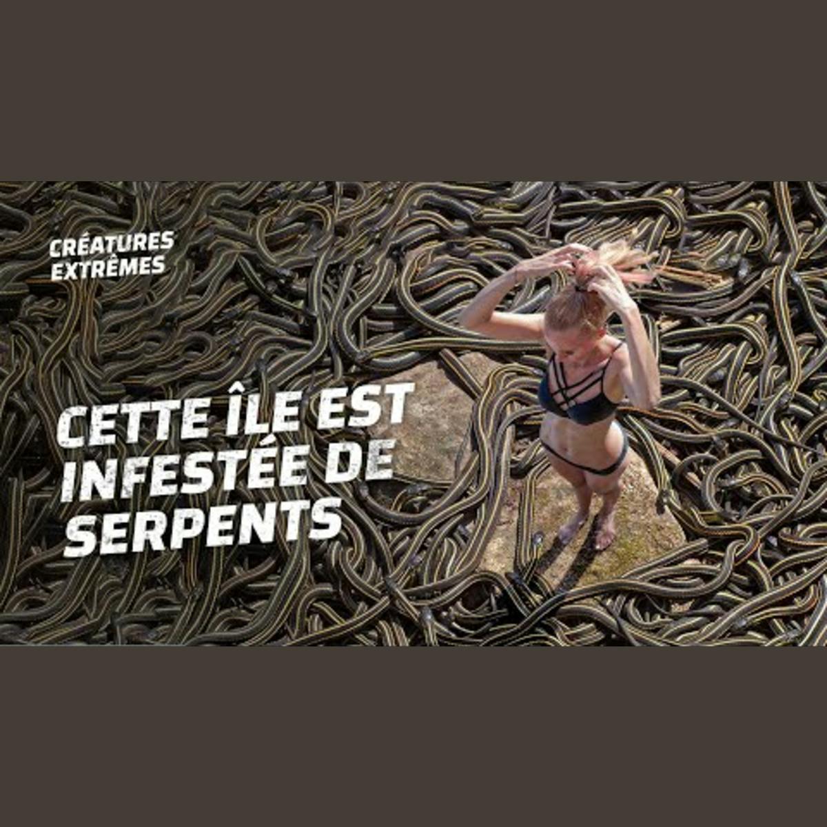 Que se passe-t-il réellement à Snake Island ? Que se passe-t-il réellement à Snake Island ?