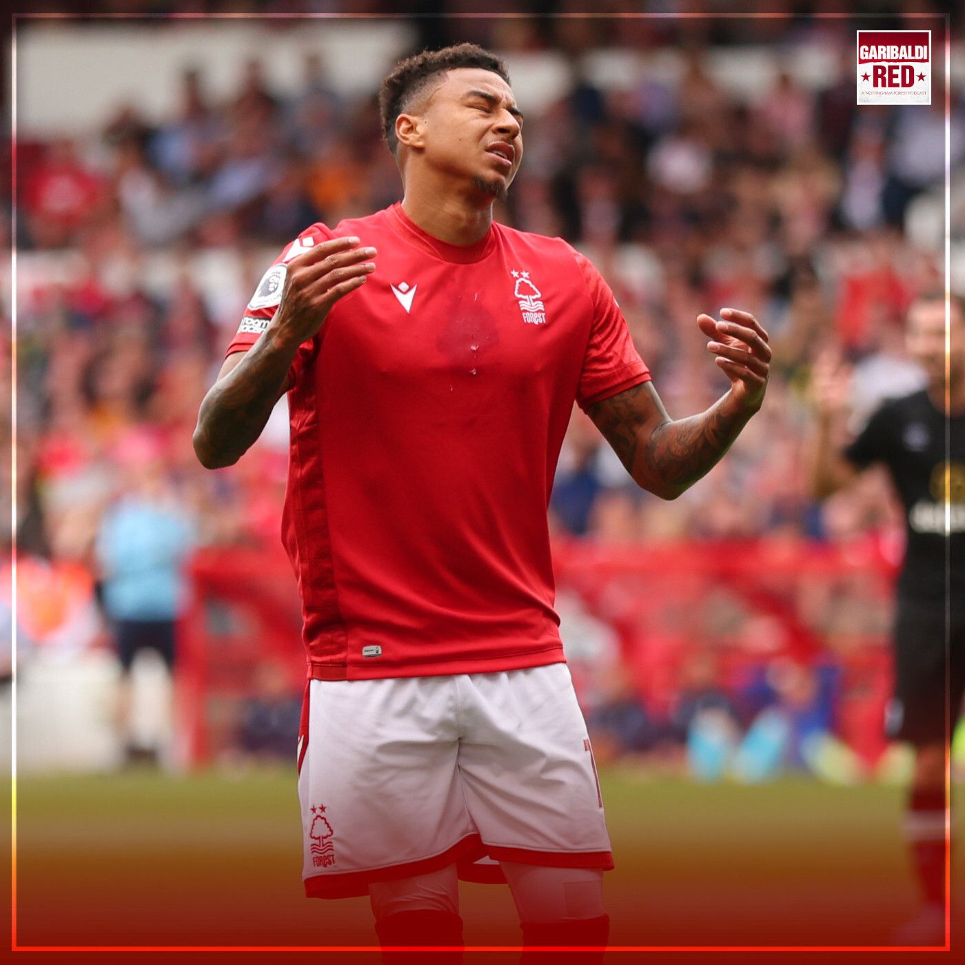 Garibaldi Red Podcast #163 | MELTDOWN AFTER BOURNEMOUTH COLLAPSE episode artwork