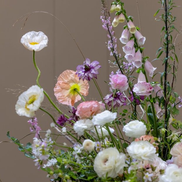 Blooms, Beaks & Beets: Summer in the Garden