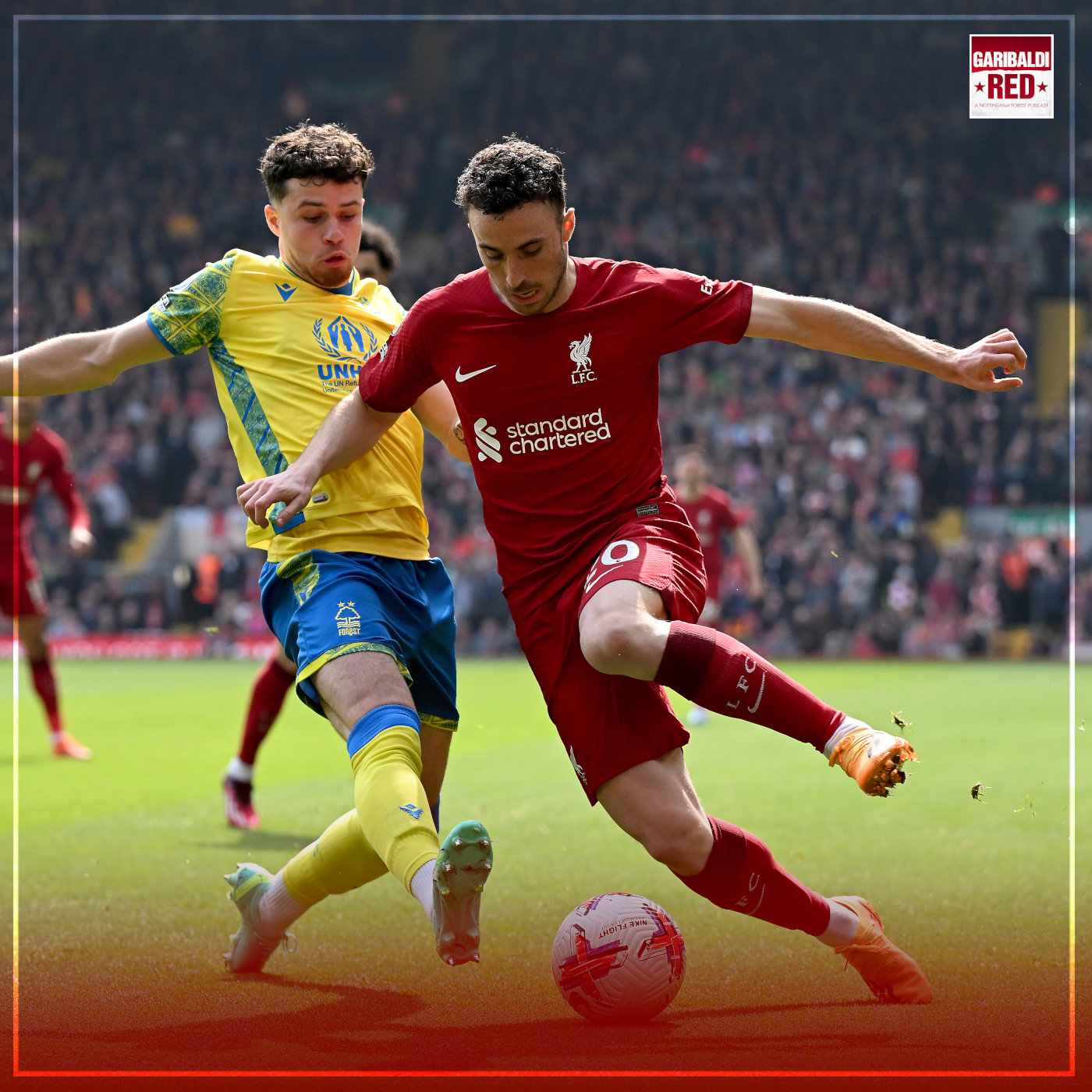 NOTTINGHAM FOREST'S BIG BRIGHTON CHANCE AFTER LIVERPOOL DEFEAT episode artwork