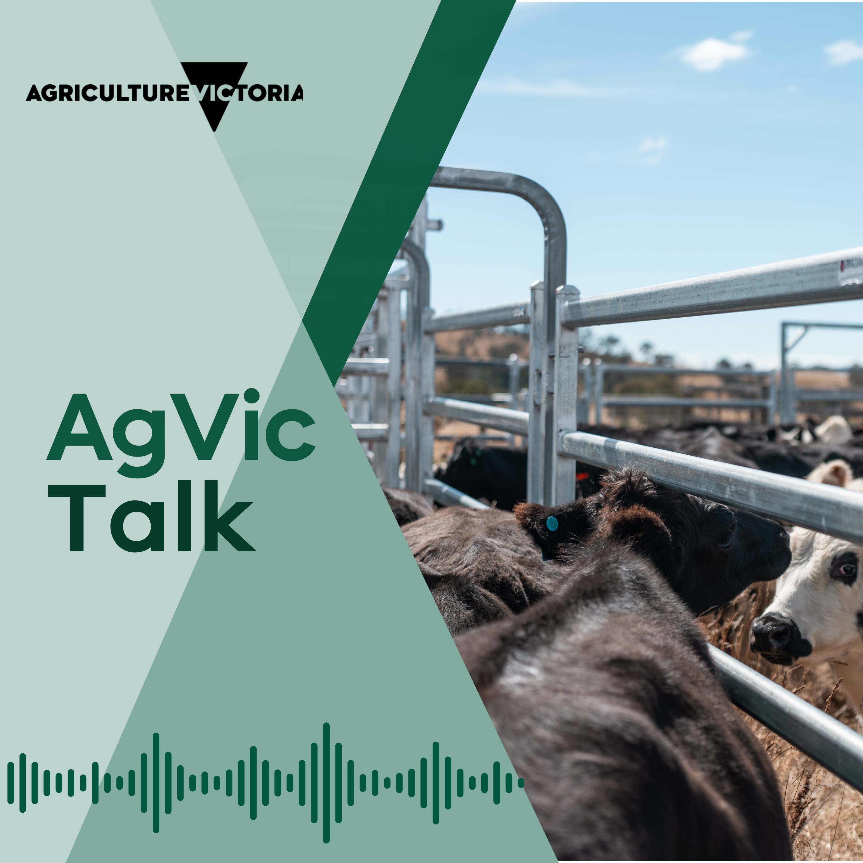AgVic Talk