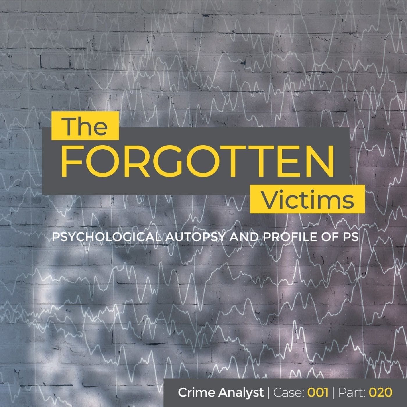 The Forgotten Victims | Part 20 | Psychological Autopsy and Profile of PS