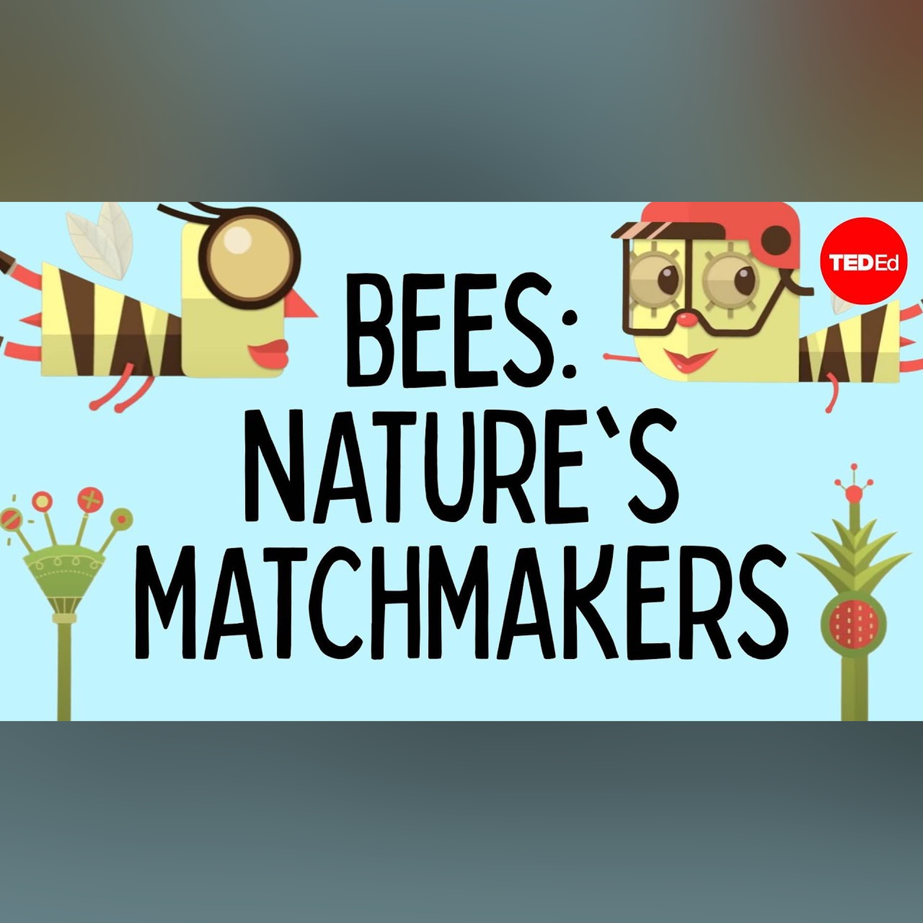 How bees help plants have sex - Fernanda S. Valdovinos