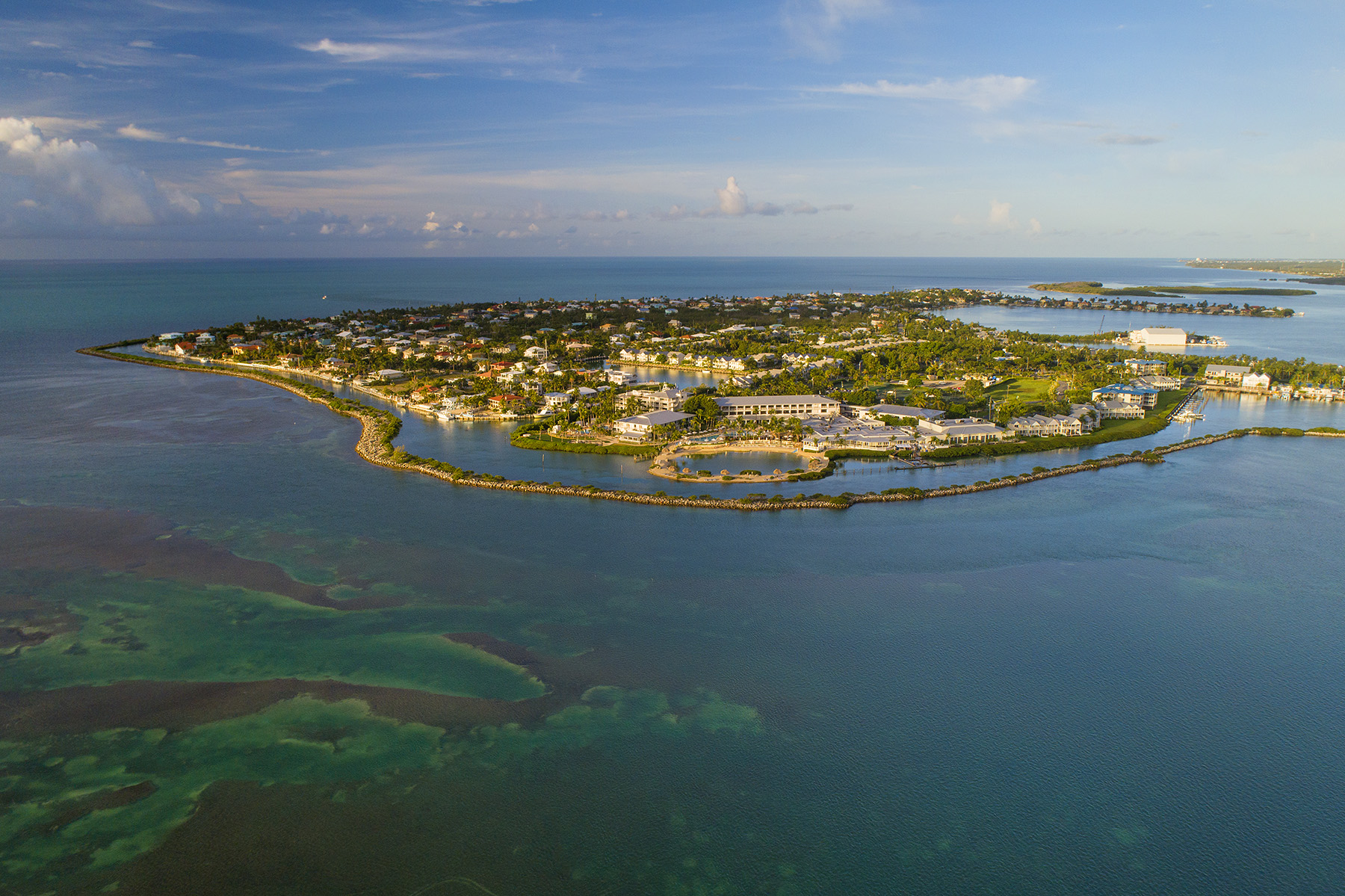 The Effects Of Sunlight On The Coronavirus