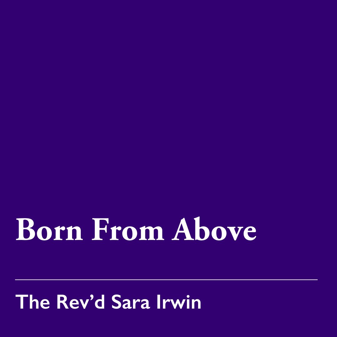 Lent 2 (A): Born From Above – March 1, 2026