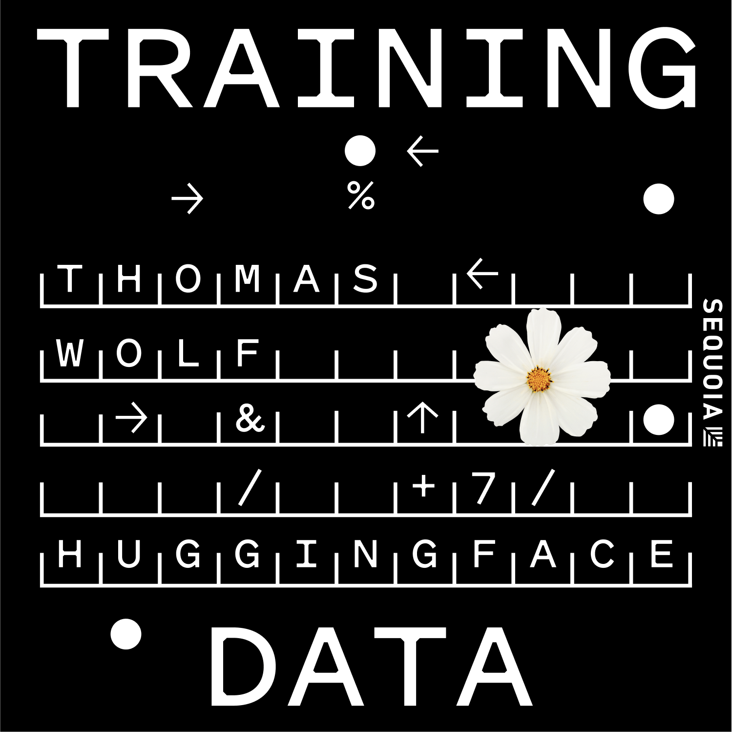 Building the "App Store" for Robots: Hugging Face's Thomas Wolf on Physical AI