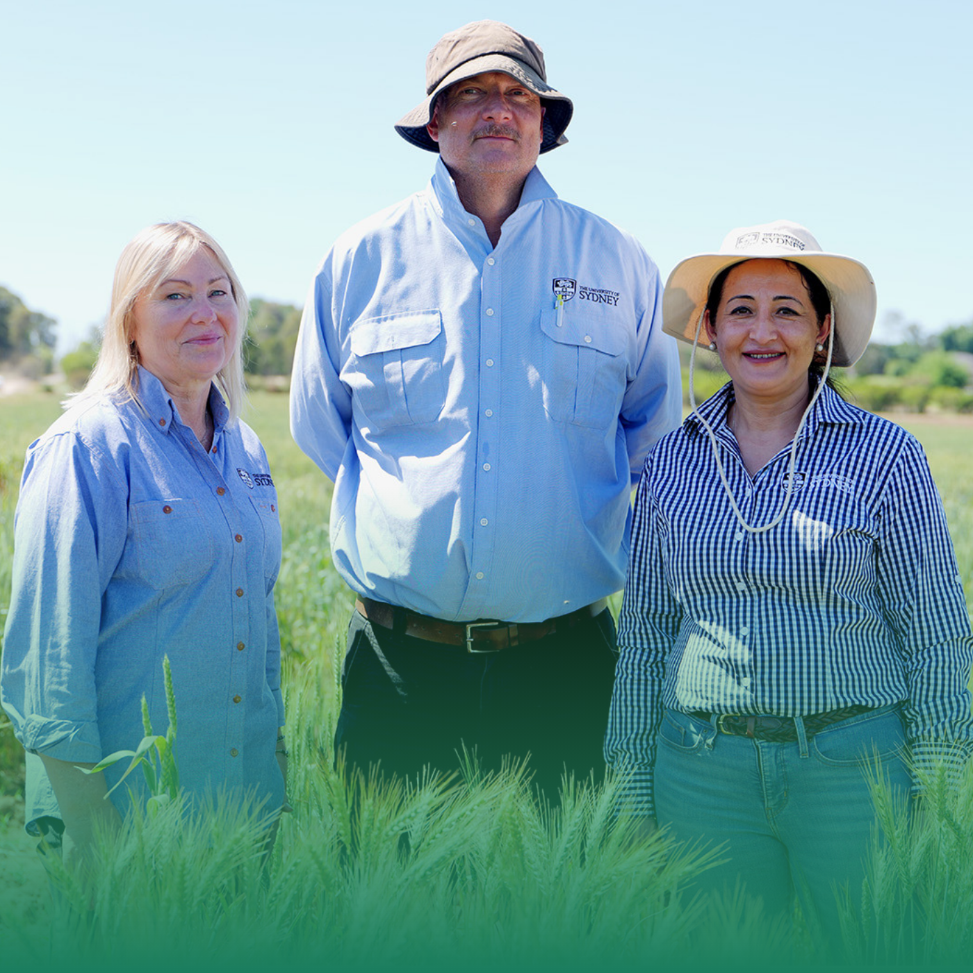 How to collect a rust sample