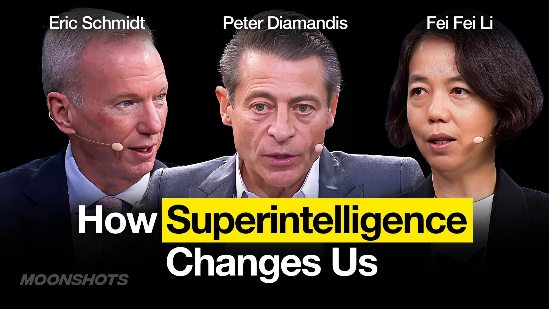 How Life Changes When We Reach Artificial Superintelligence w/ Dr. Fei-Fei Li & Dr. Eric Schmidt | EP #206 How Life Changes When We Reach Artificial Superintelligence w/ Dr. Fei-Fei Li & Dr. Eric Schmidt | EP #206