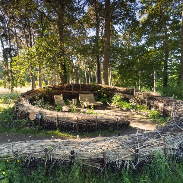 Dead Hedges, Magical Mints and a Mycelial Menace