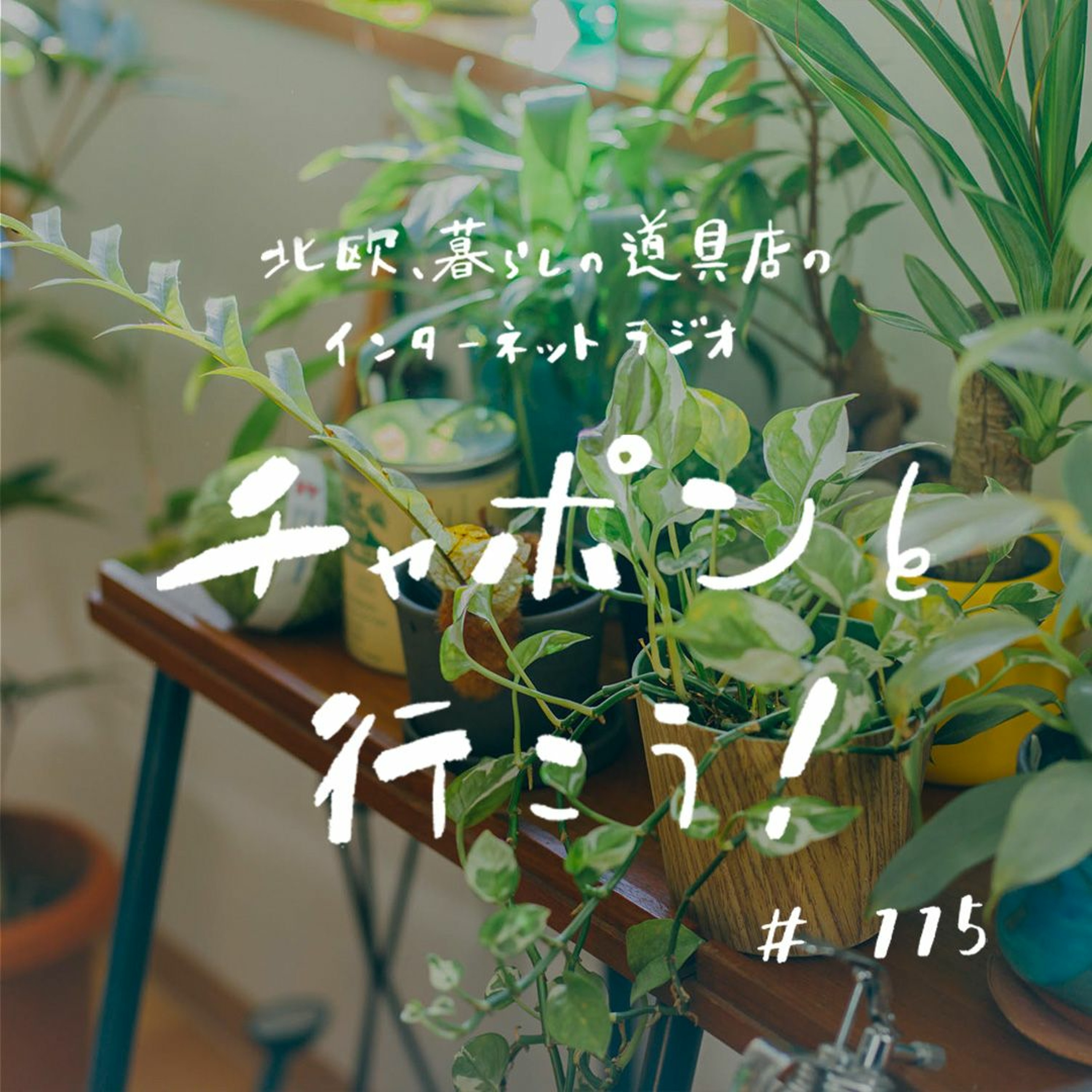 第115夜：癒しと学びをくれる、植物のある暮らし（2022/8/28公開）