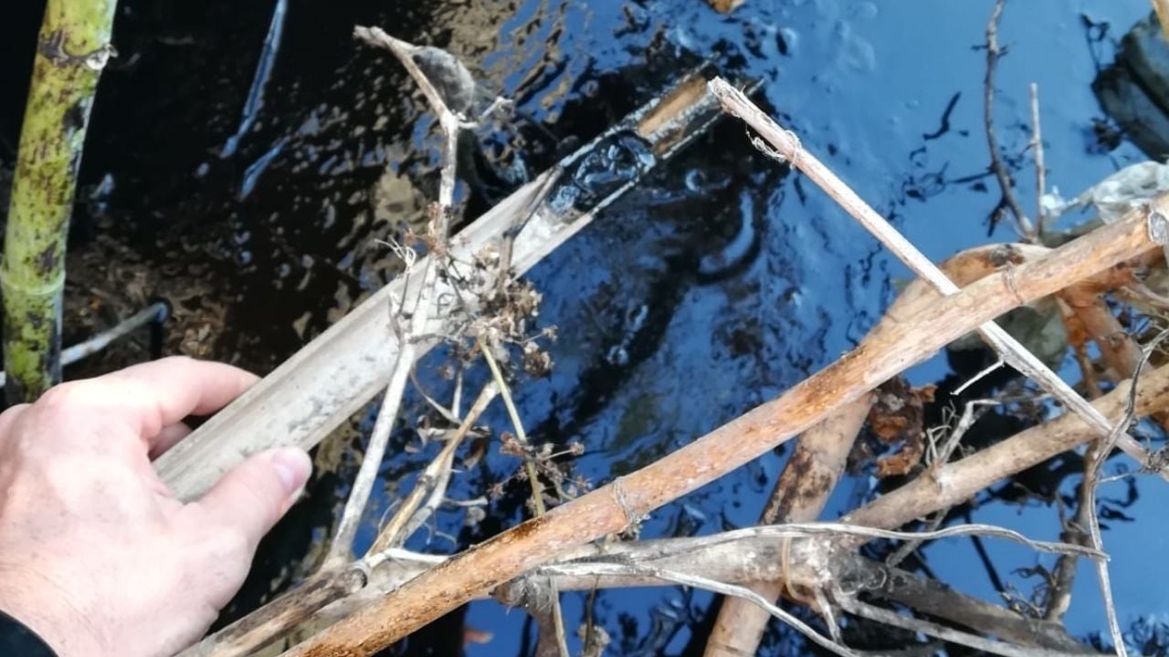 El orden mundial: ¿Las compañías energéticas llevan años mintiéndonos con el calentamiento global?