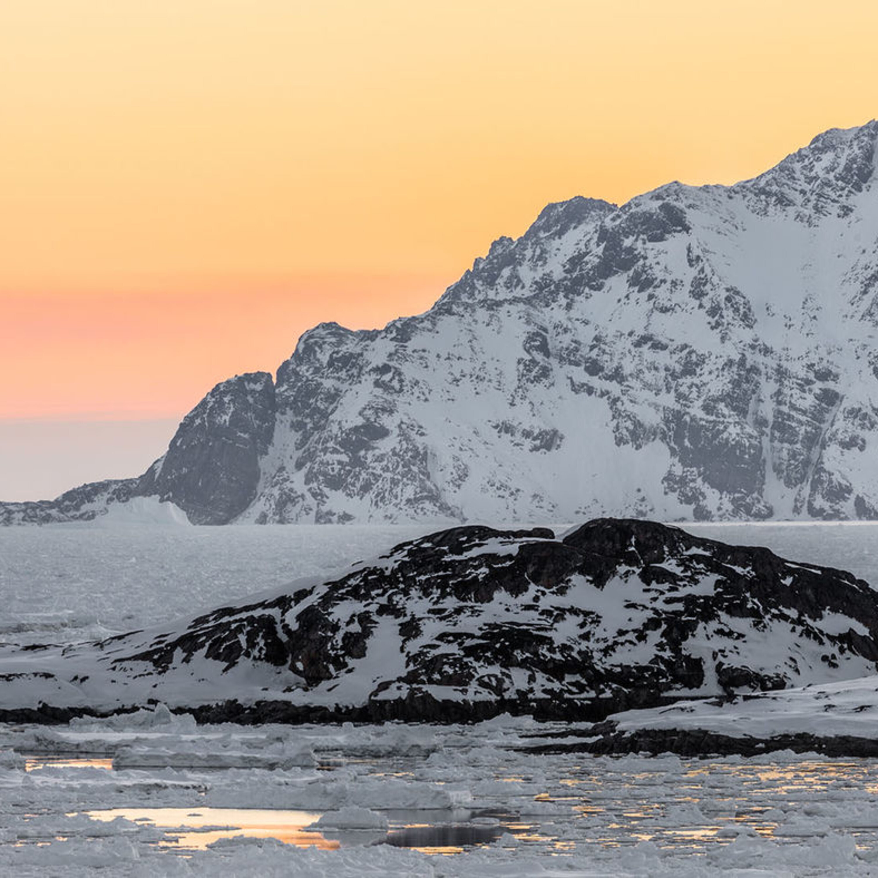 Neandertals that made art, live news from the AAAS Annual Meeting, and the emotional experience of being a scientist